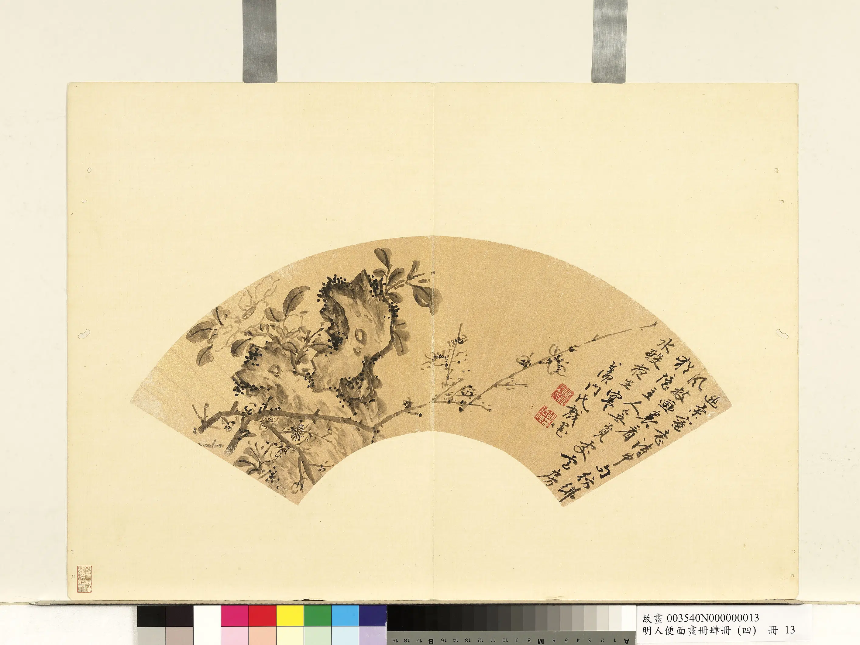 明朝【胡德位】《明人便面画册（四）册-茶梅写生》