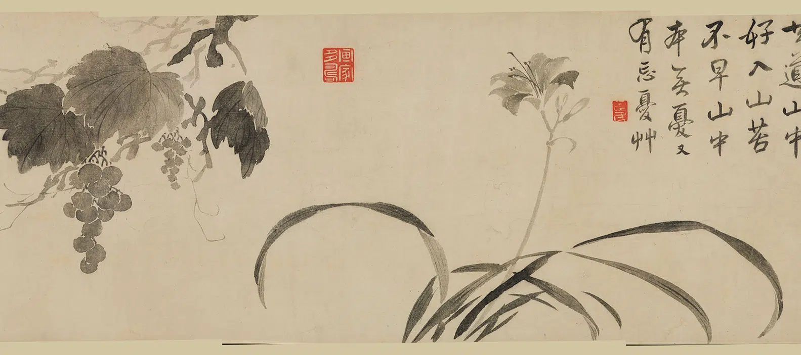清代【边寿民】《花卉图卷》 第7张