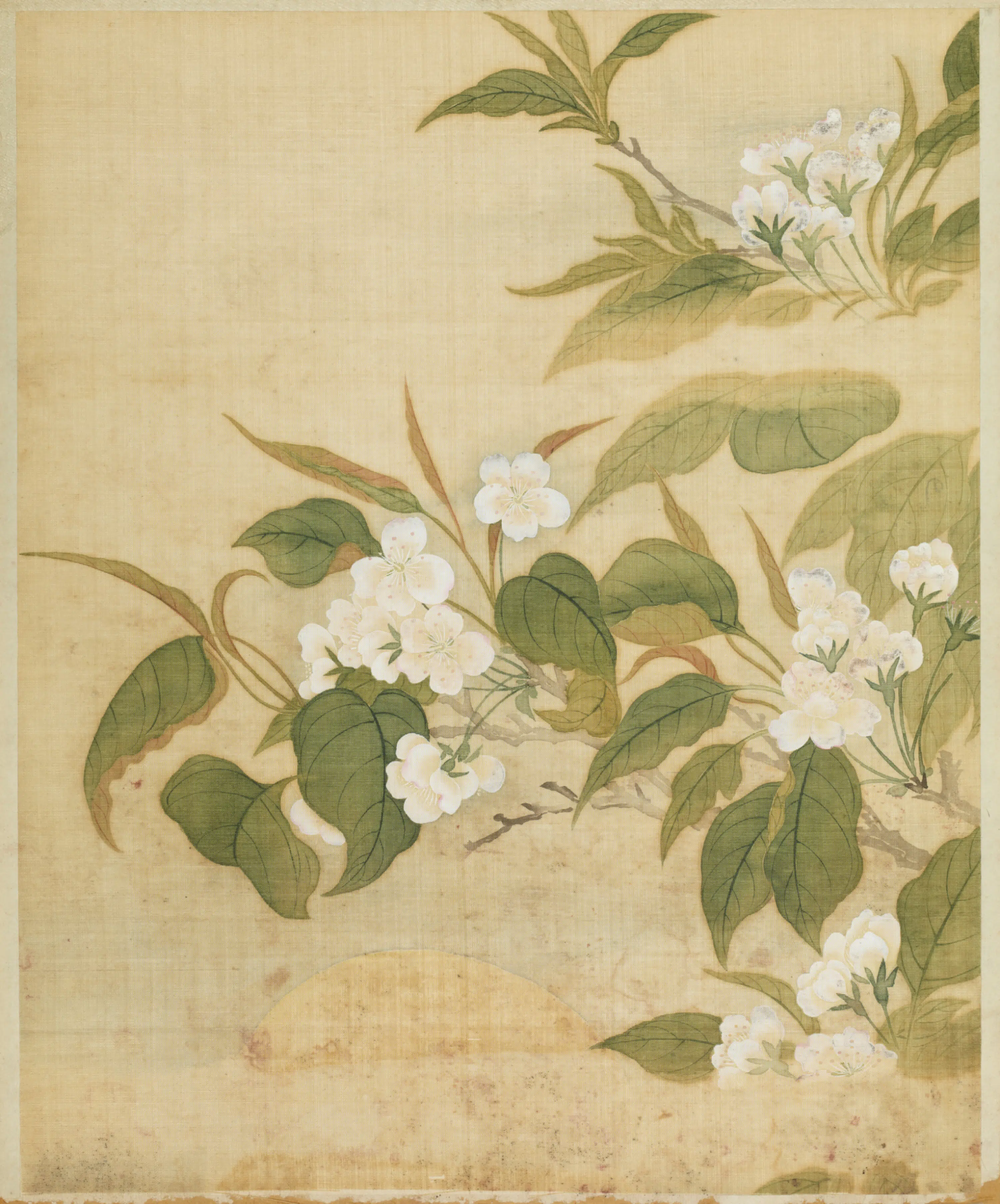 清代【范廷镇】《花卉图册》 第8张