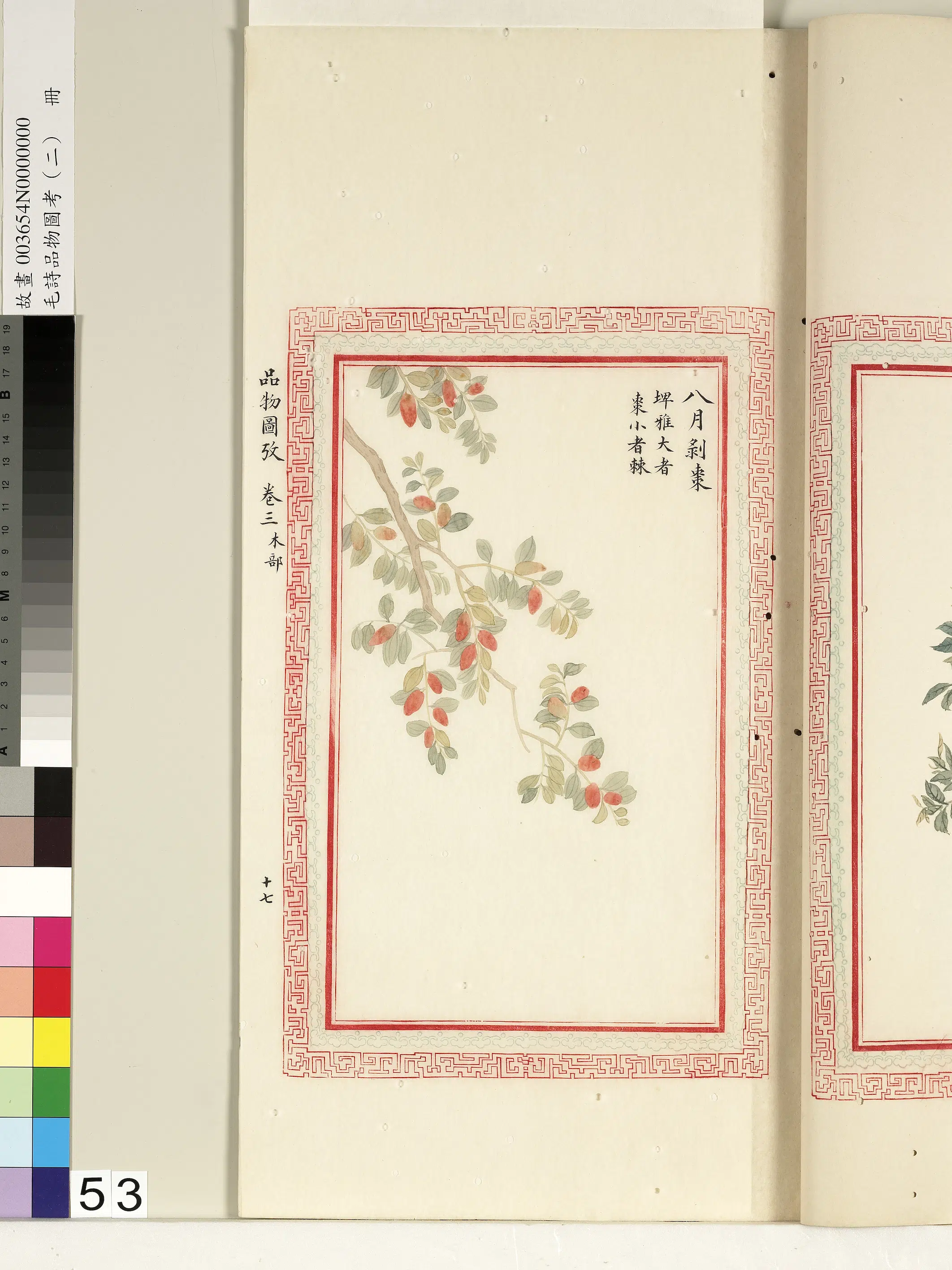 清代《毛诗品物图考(二)册-1》 第5张 清代《毛诗品物图考(二)册-1》 第5张