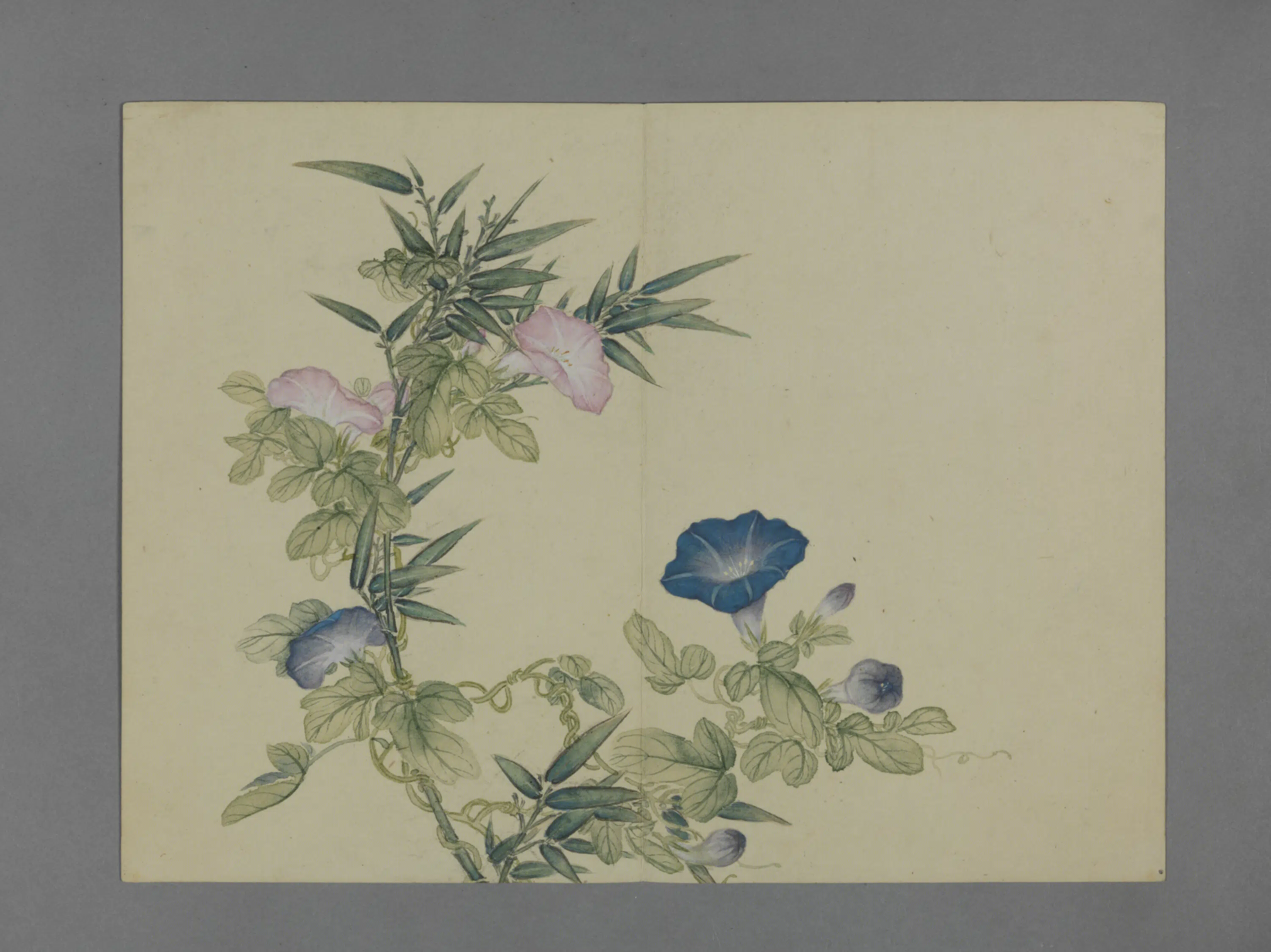清代【蒋溥】《花卉图册（6开）》 第6张