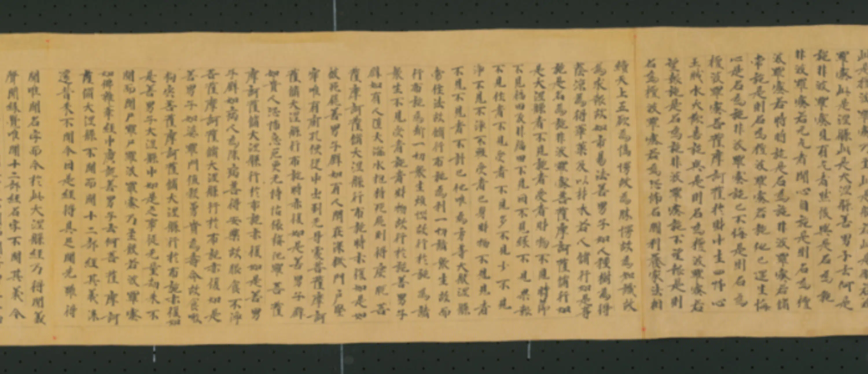唐朝《无款行书写大湼槃经德王菩萨品二十二卷》 第3张