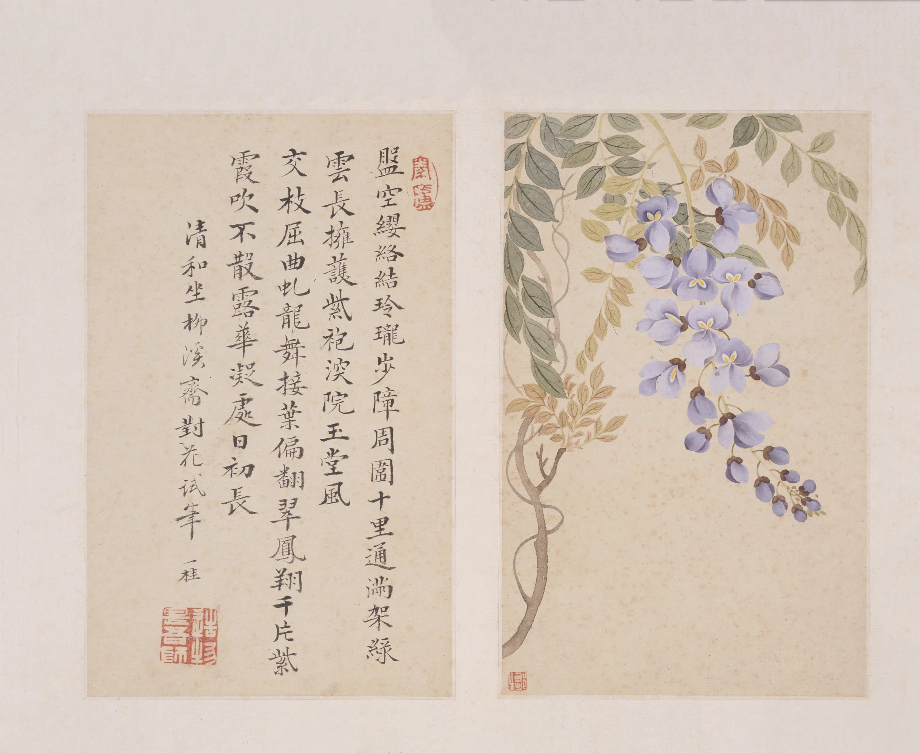 清代【邹一桂】《写生花卉图册》