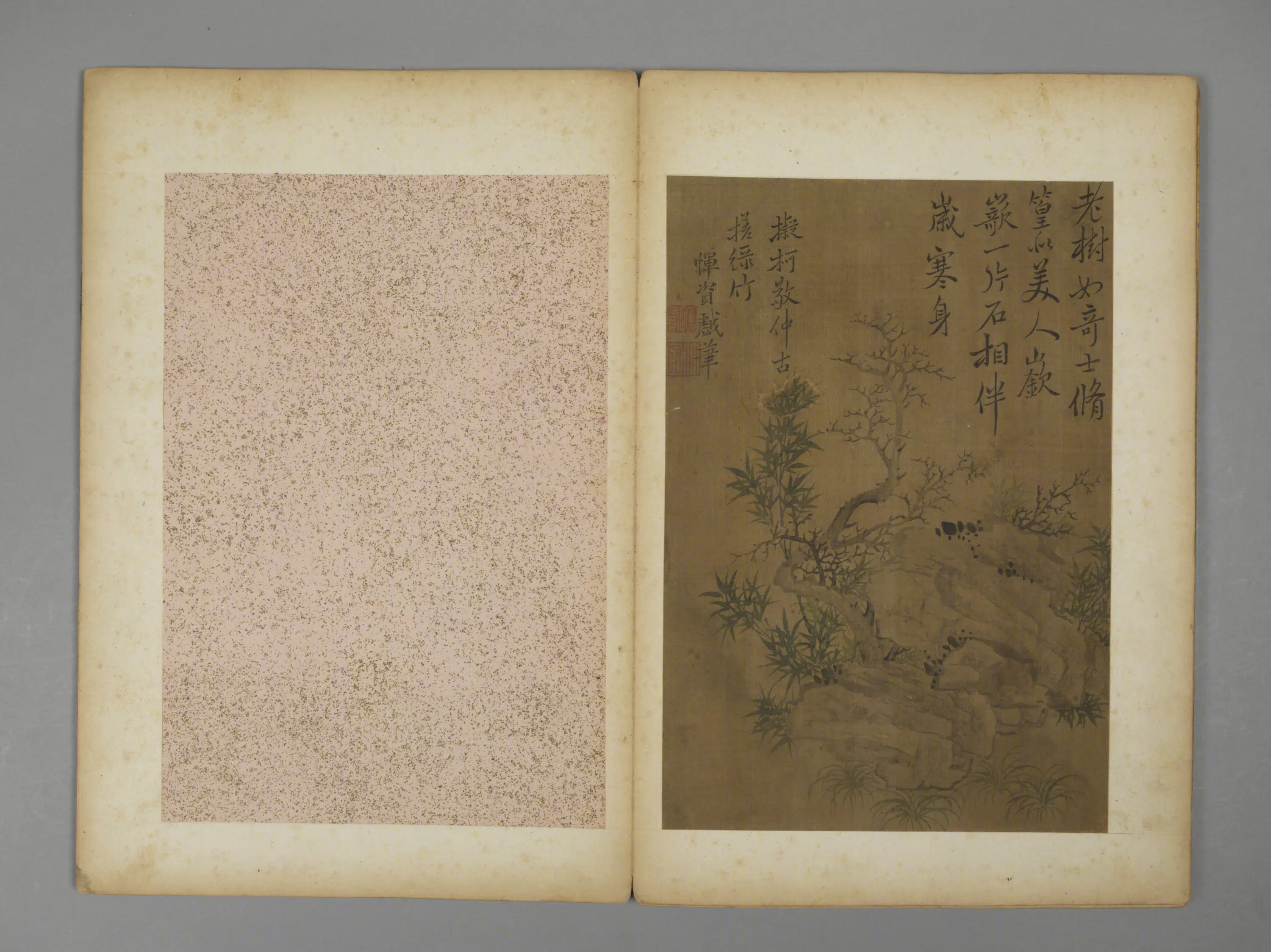 清代【恽资】《花卉册》 第6张