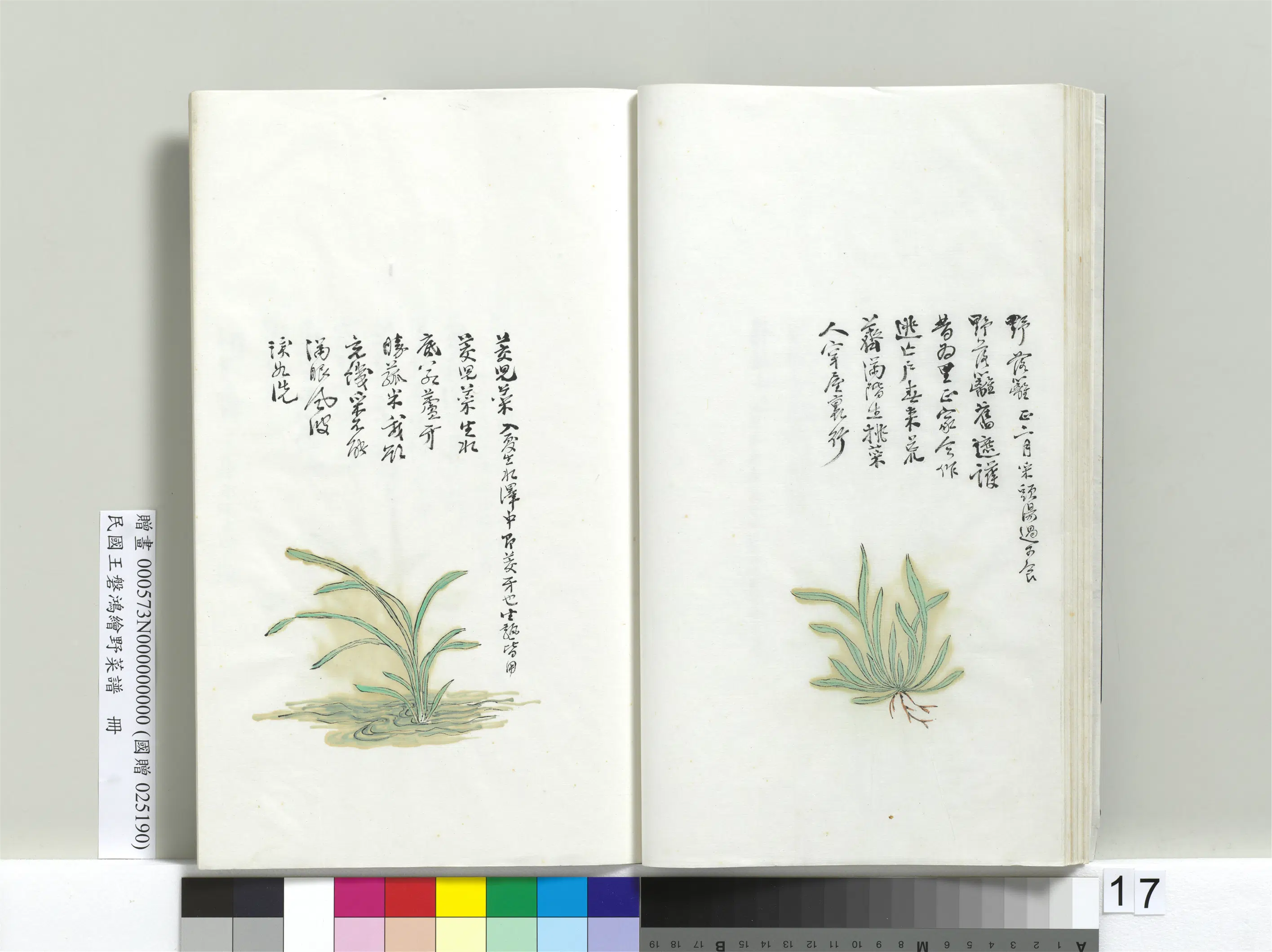 《绘王盘野菜谱册》 第9张 《绘王盘野菜谱册》 第9张
