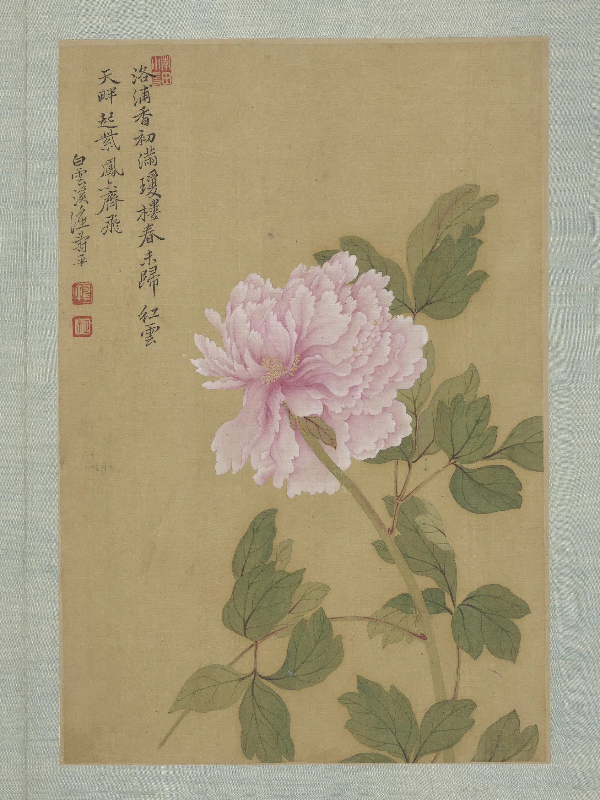 清代【恽寿平】《画花卉册-牡丹》 第1张