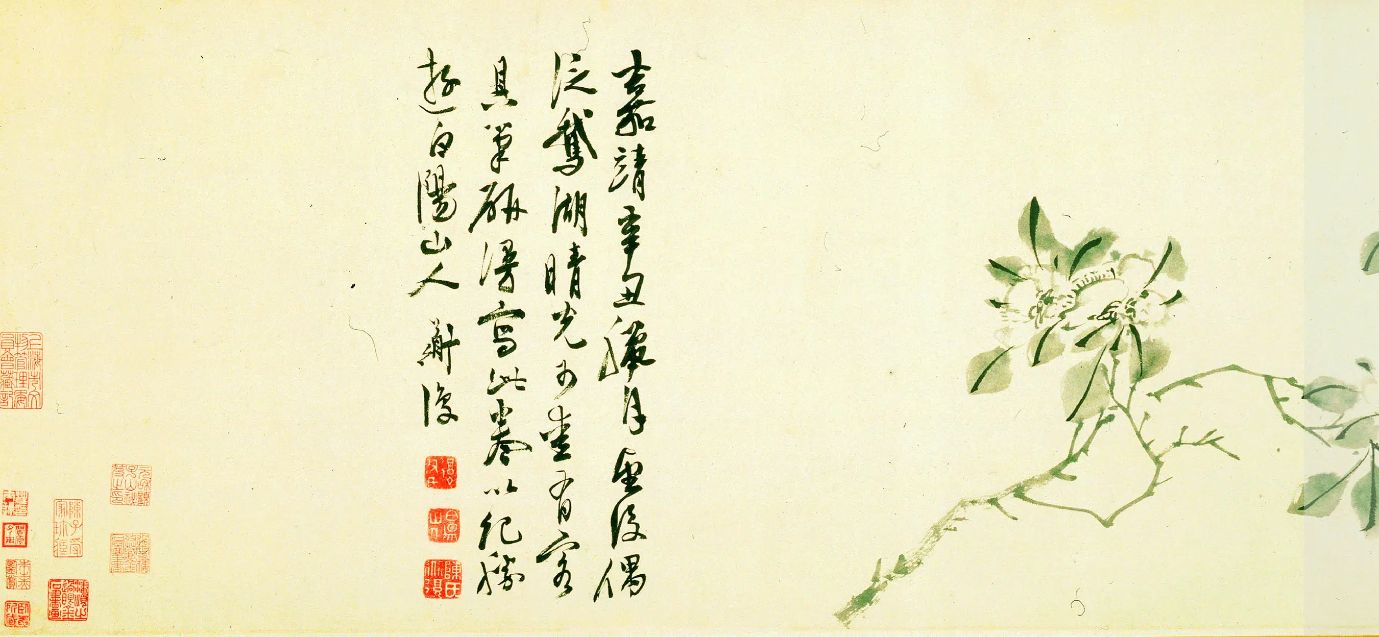 明朝【陈淳（道复）】《花卉图卷-1》