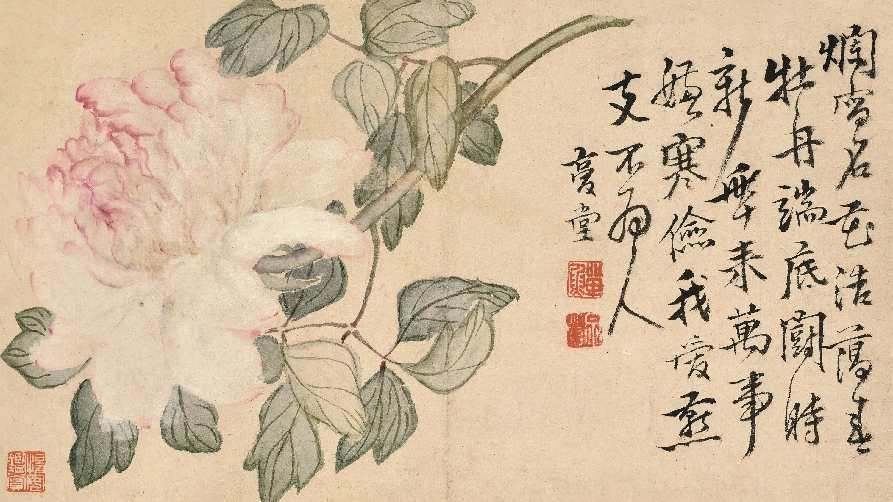 清代【李鱓】《花鸟草虫图册》 第5张