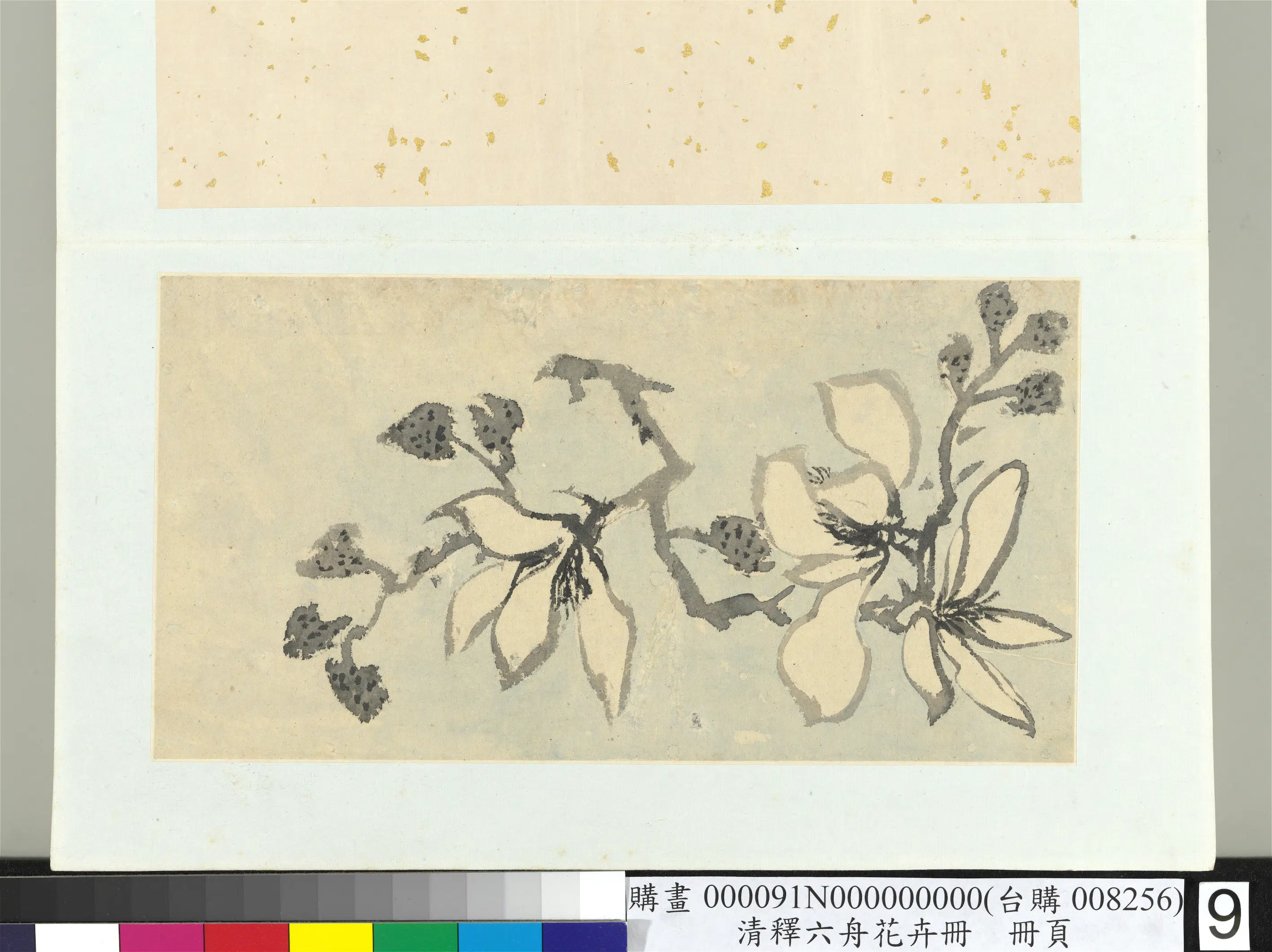 清代【释达受】《花卉册》 第4张
