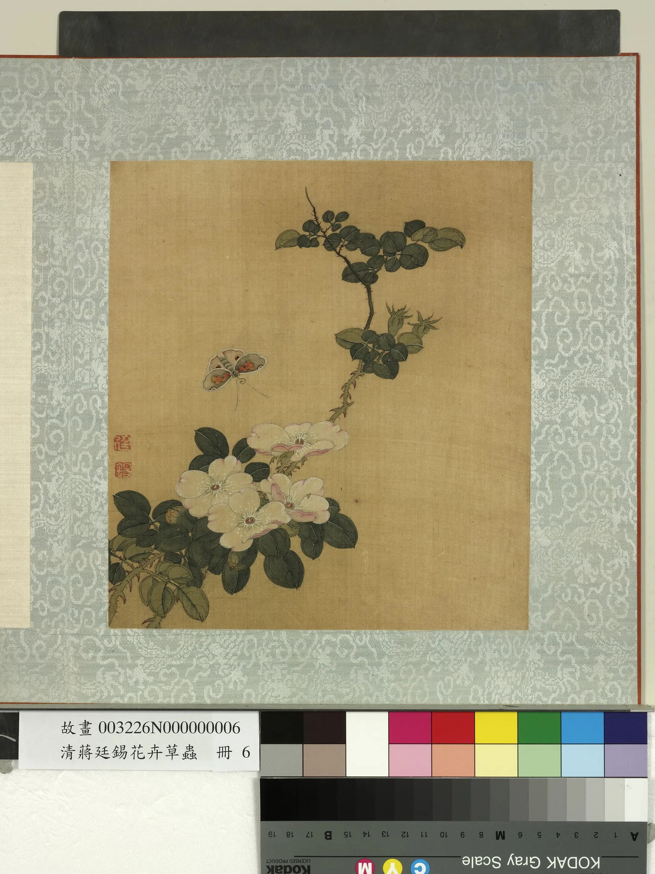 清代【蒋廷锡】《花卉草虫册》 第2张 清代【蒋廷锡】《花卉草虫册》 第2张