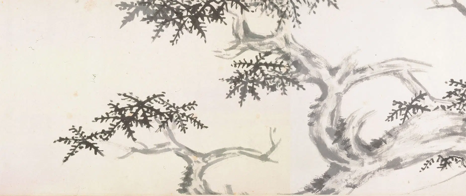 清代【朱耷】《临沈周松柏桐椿图卷》