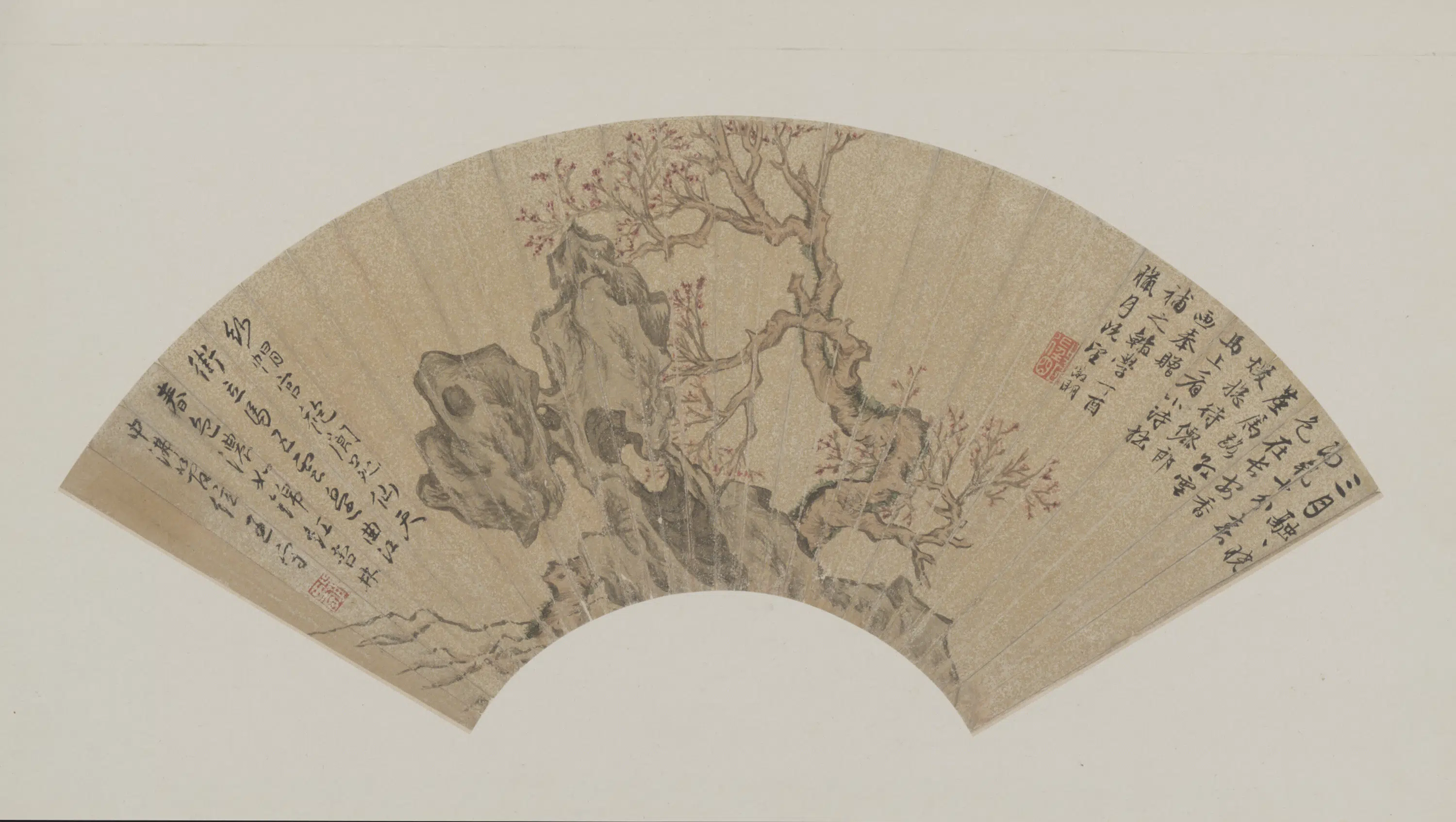 明朝【文徵明】《红杏桃石扇面》
