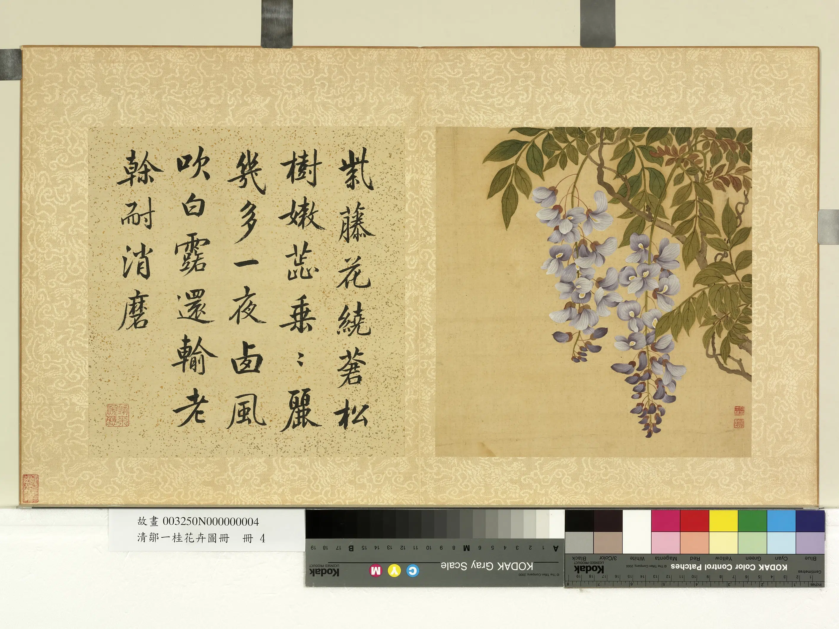 清代【邹一桂】《花卉画册-紫藤花》