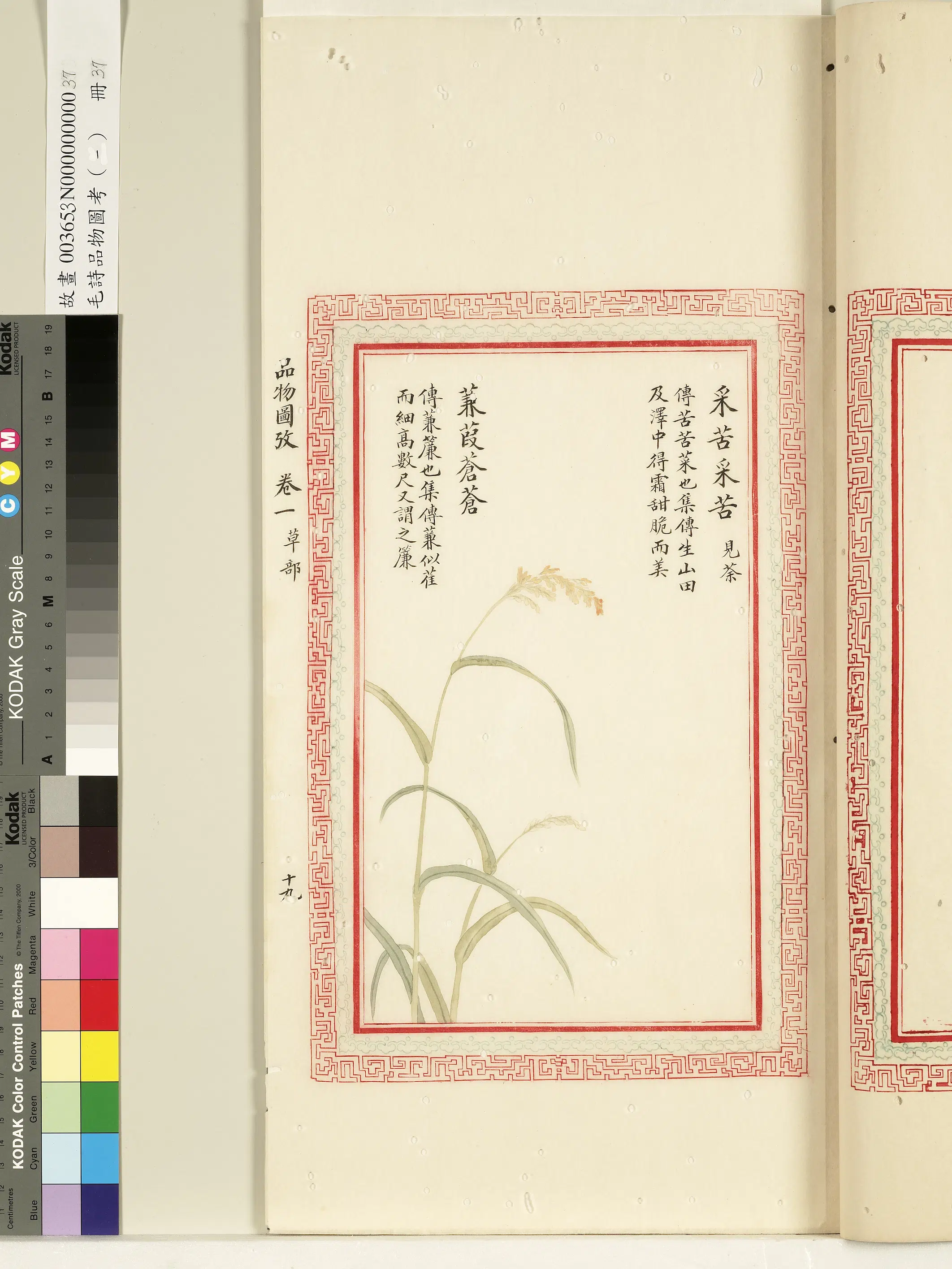 清代《毛诗品物图考(一)册-1》 第51张 清代《毛诗品物图考(一)册-1》 第51张