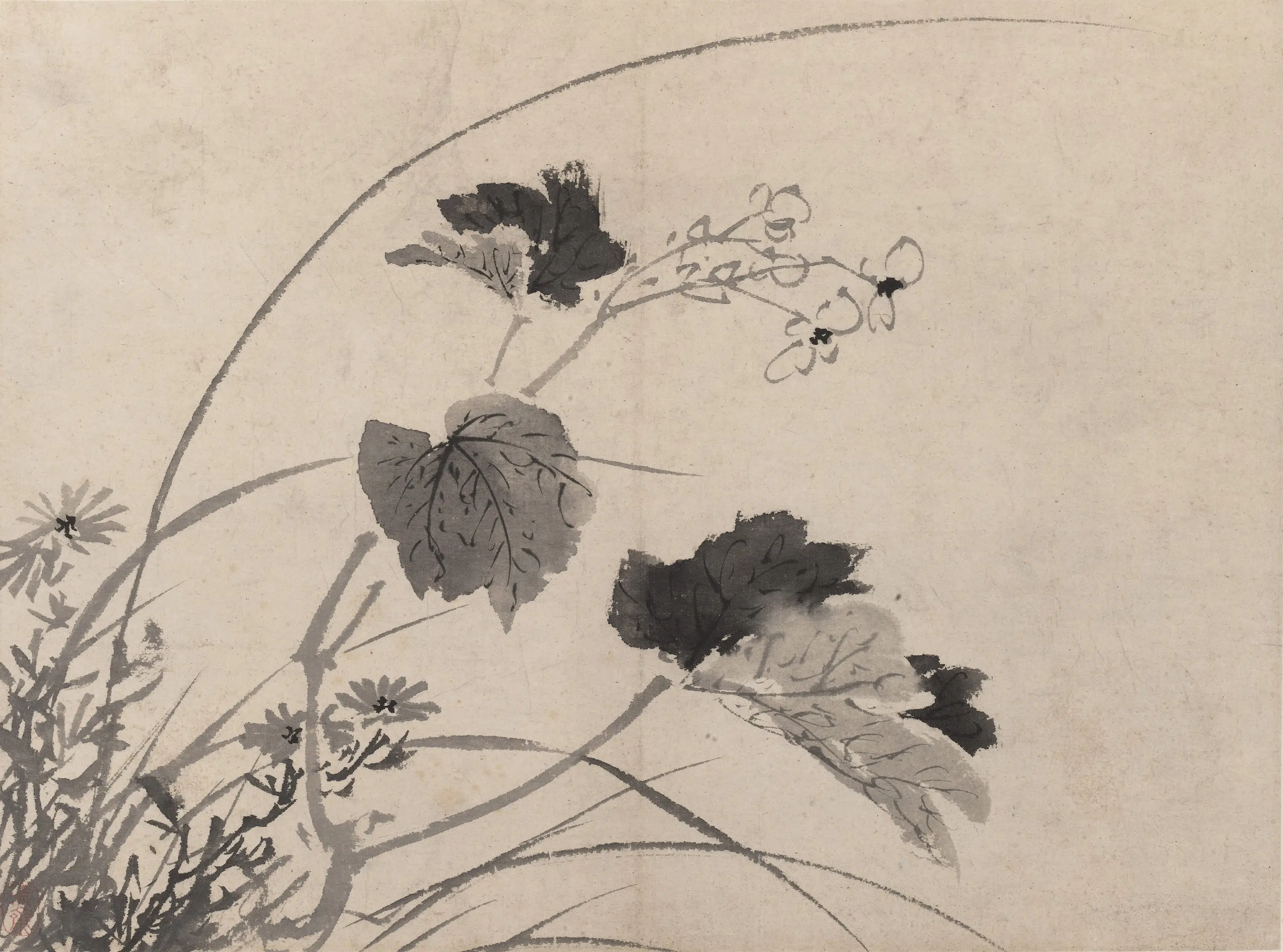 明朝【陈淳（道复）】《墨花图册》 第9张