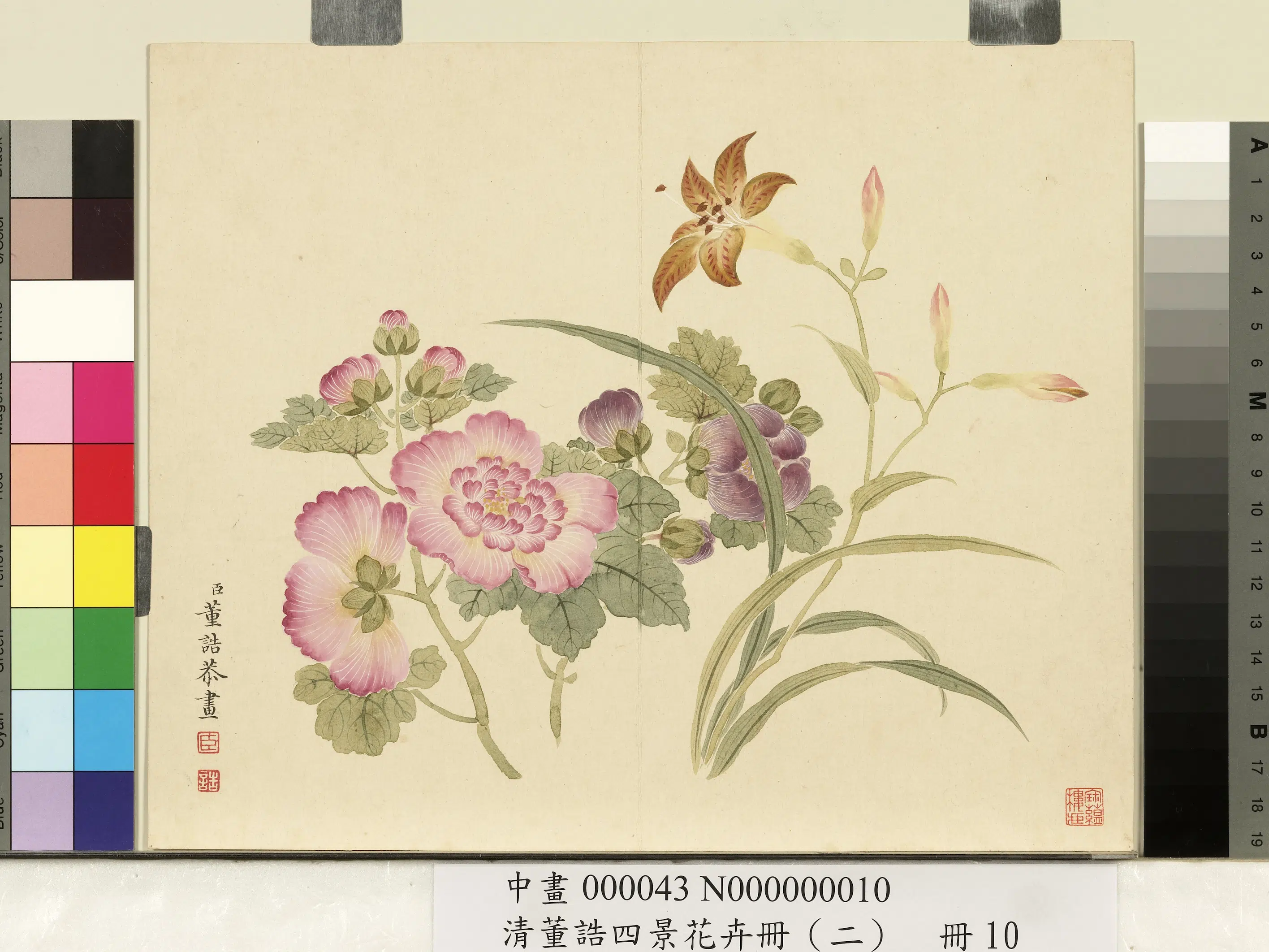 清代【董诰】《四景花卉册(二)册》 第9张 清代【董诰】《四景花卉册(二)册》 第9张