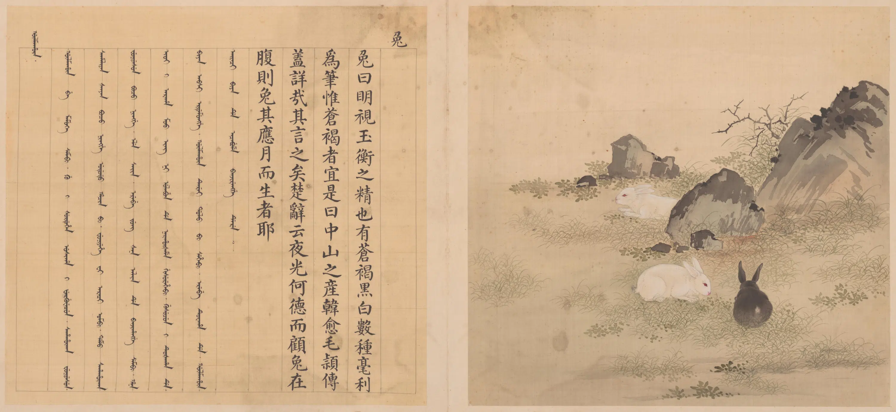 清代【张为邦】《余省张为邦合画兽谱册》