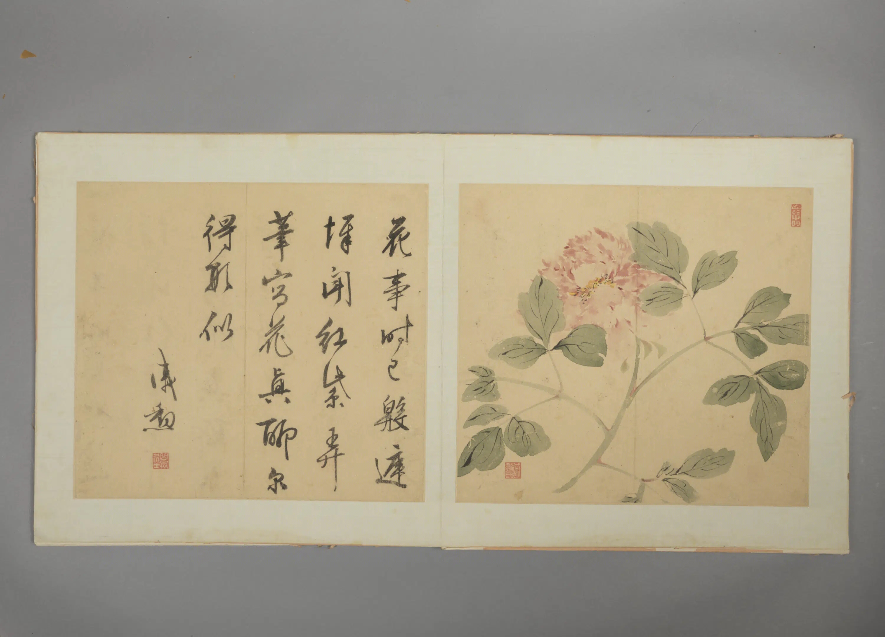 明朝【戚勋】《花卉册》 第9张