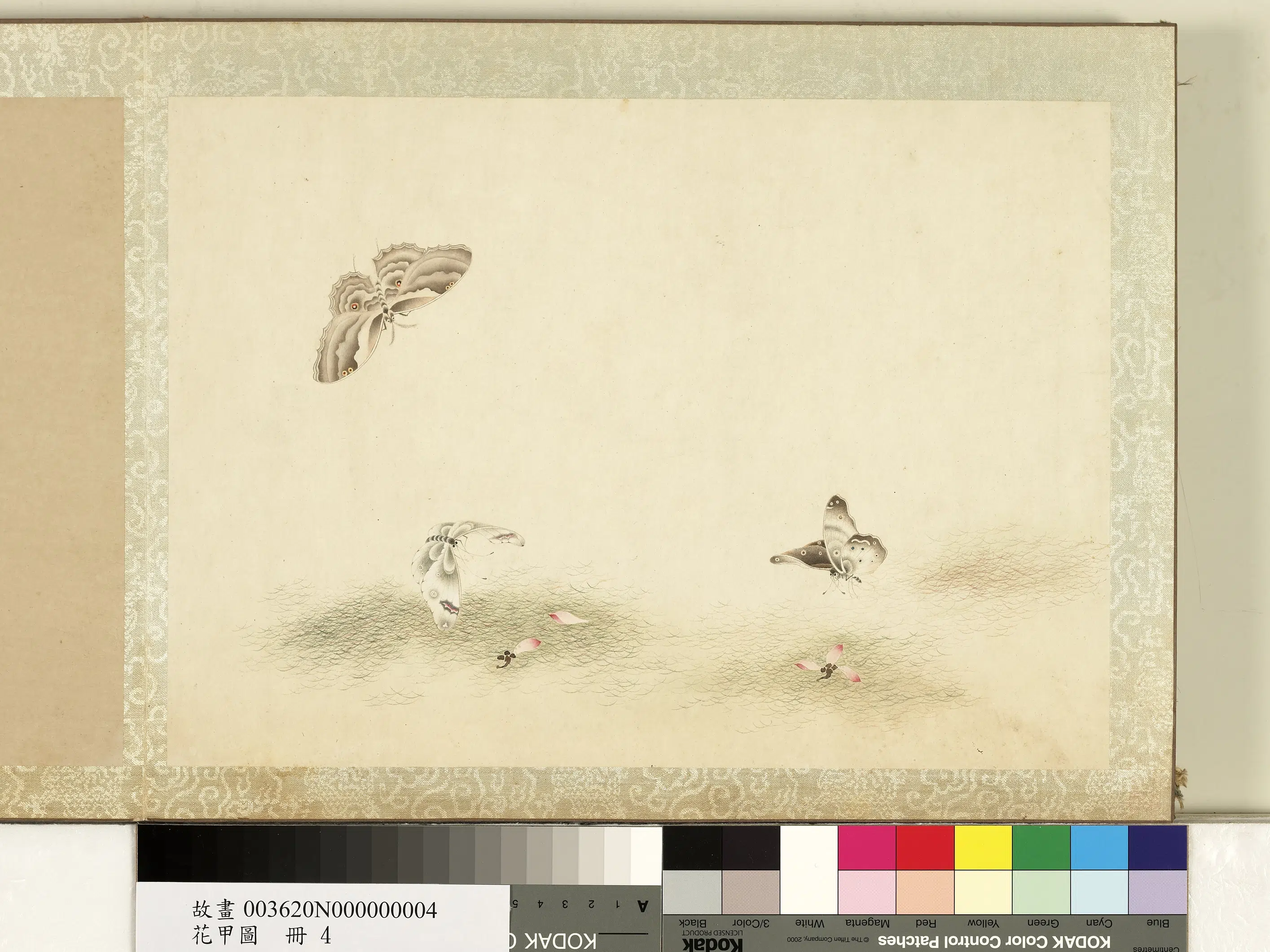 《花甲图册》 第19张 《花甲图册》 第19张