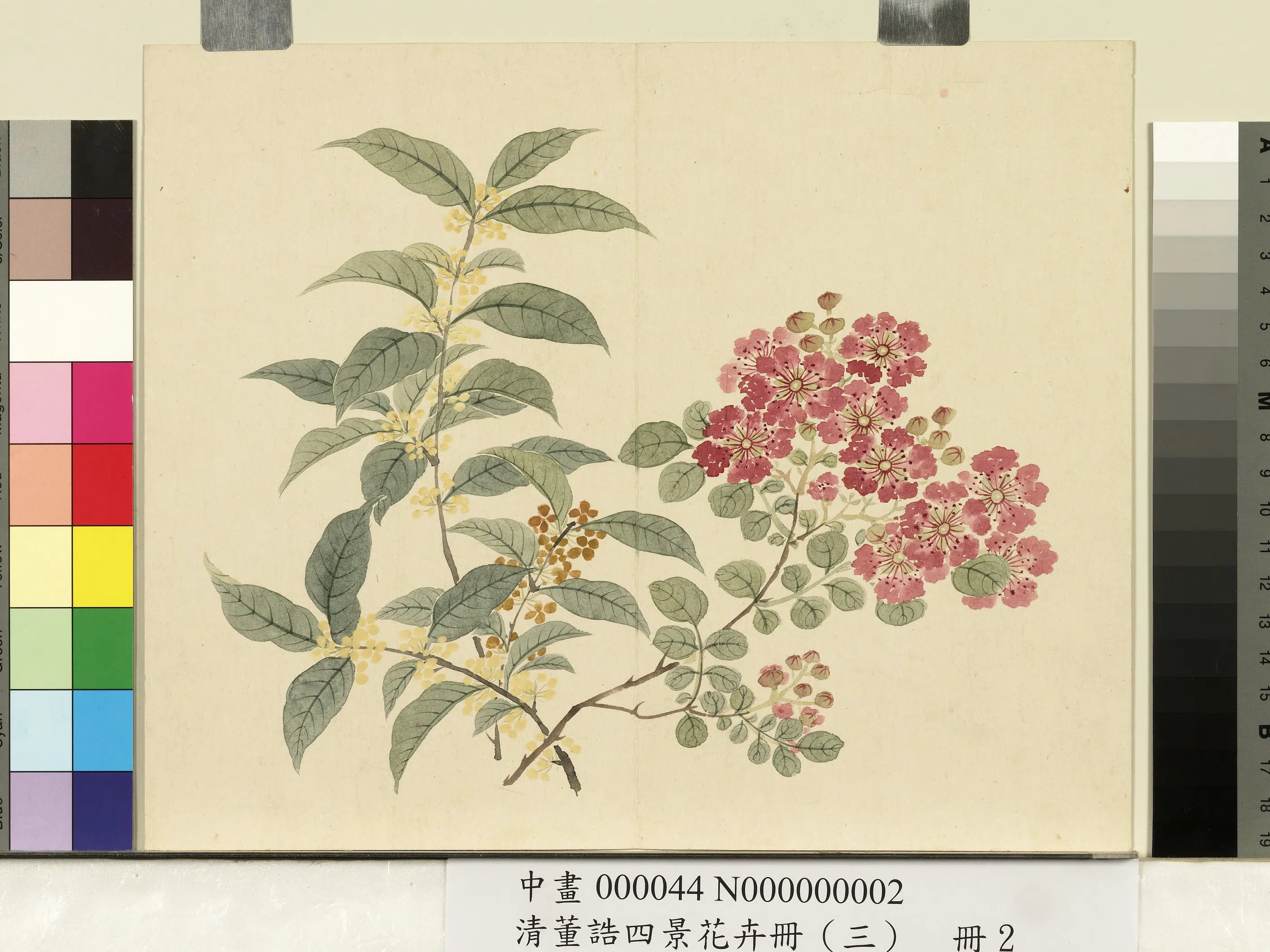 清代【董诰】《四景花卉（三）册》 第5张