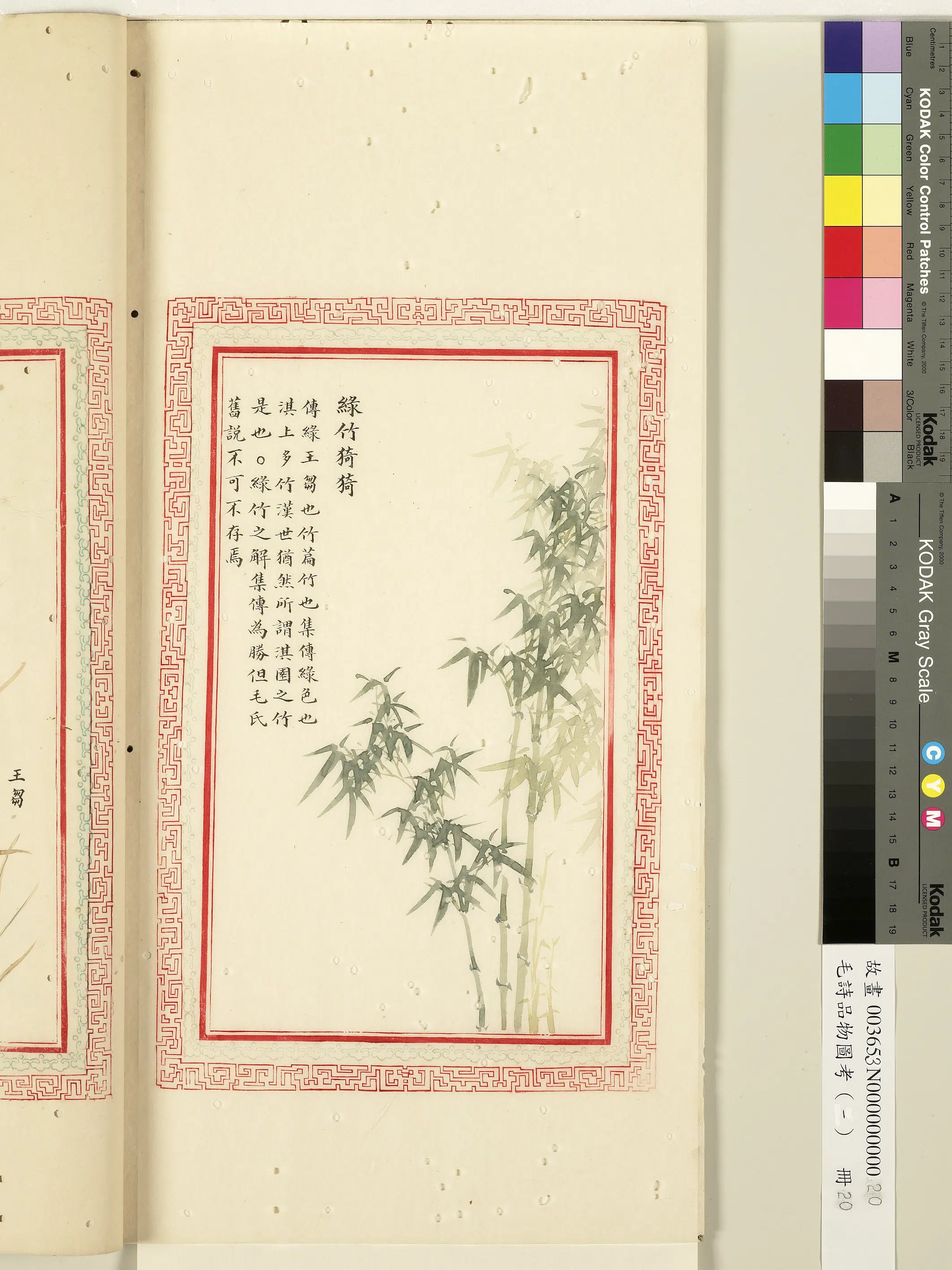 清代《毛诗品物图考(一)册-1》 第38张 清代《毛诗品物图考(一)册-1》 第38张