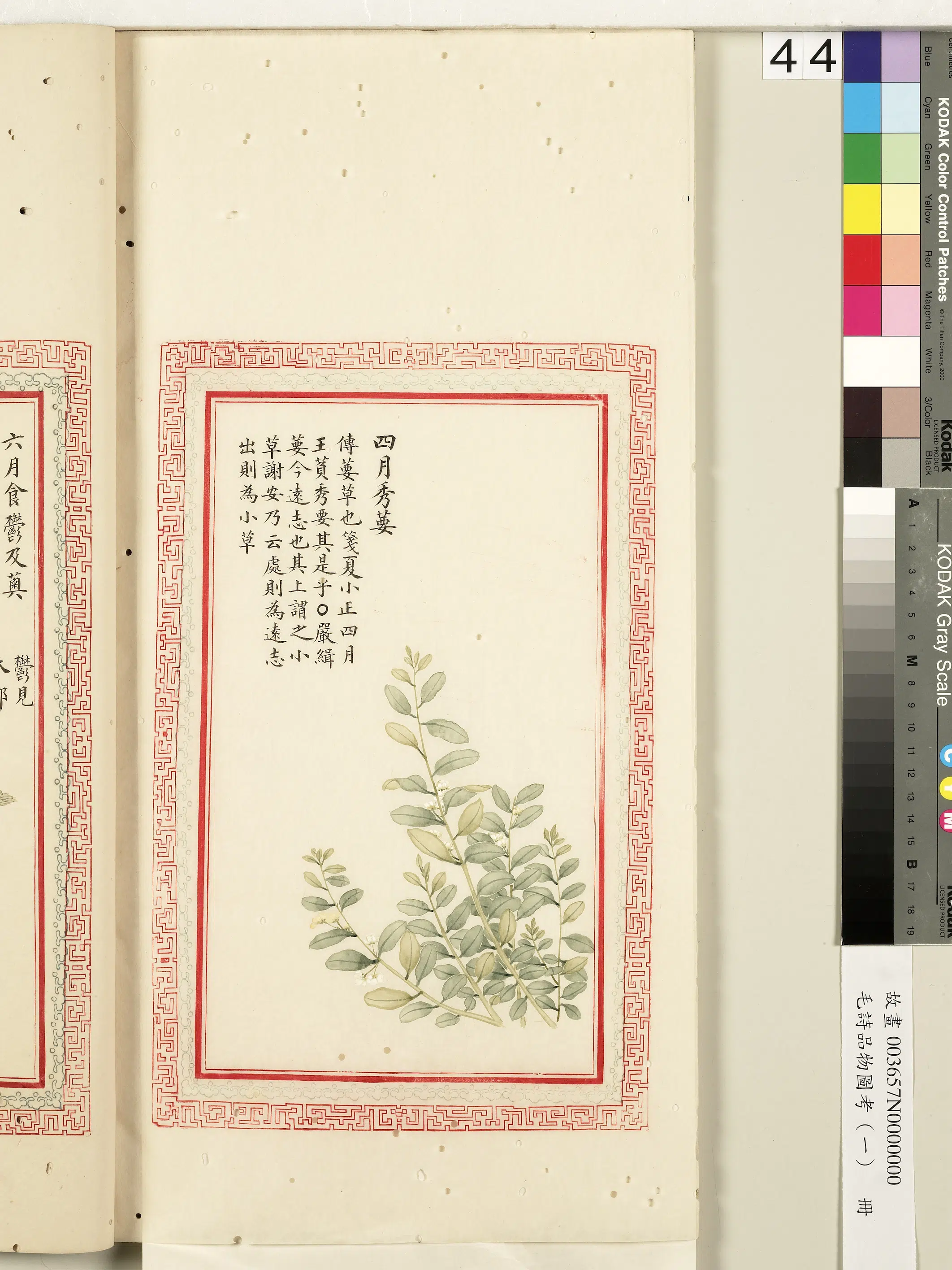 清朝【佚名】《毛诗品物图考（一）册-四月秀葽-2》