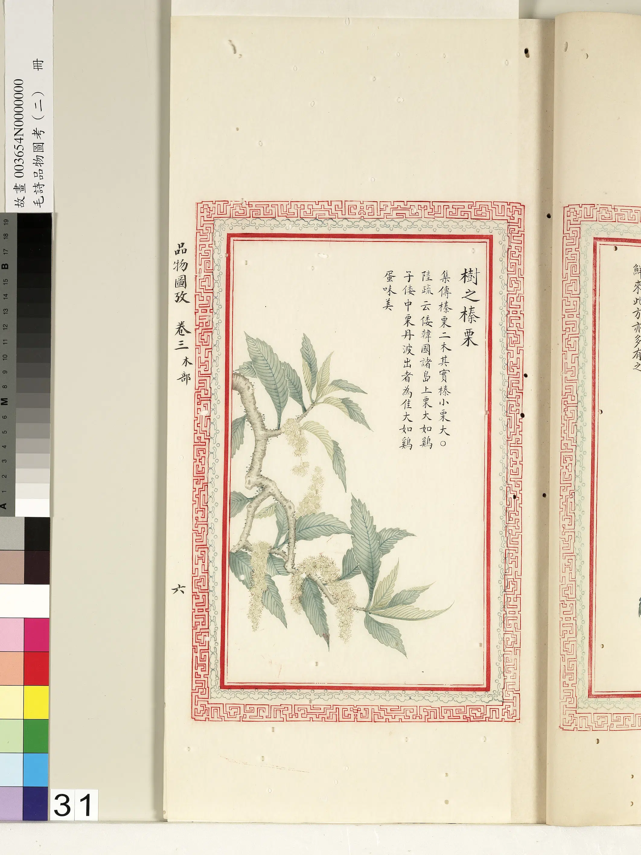 清朝【佚名】《毛诗品物图考（二）册-树之榛栗-1》