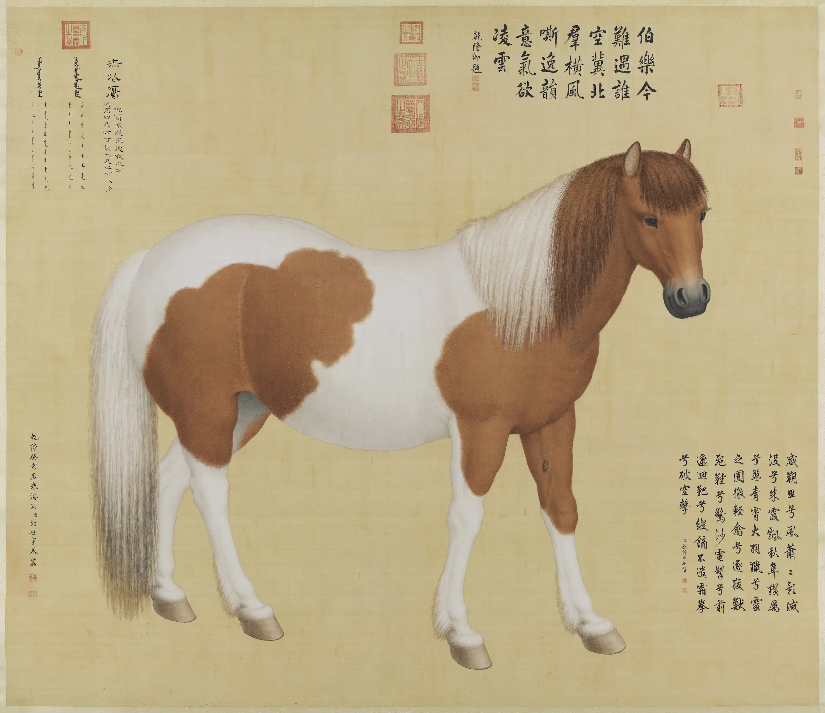 清代【郎世宁】《画十骏图赤花鹰图轴》