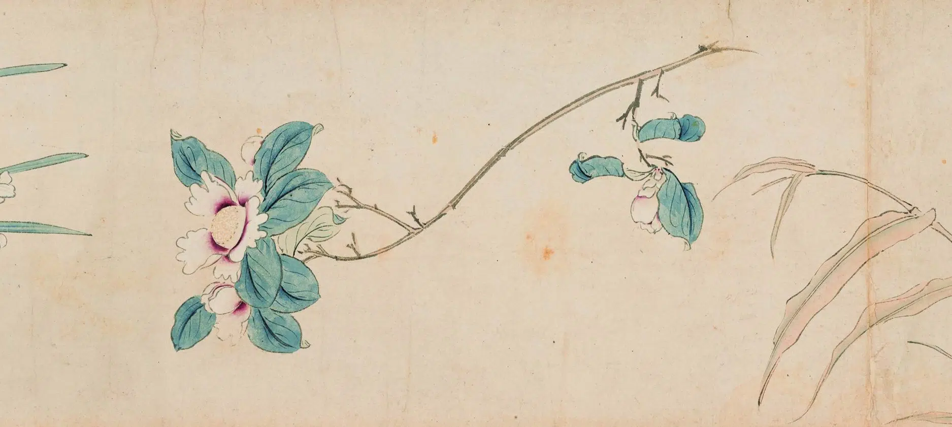 明朝【马守真】《花卉卷》 第2张