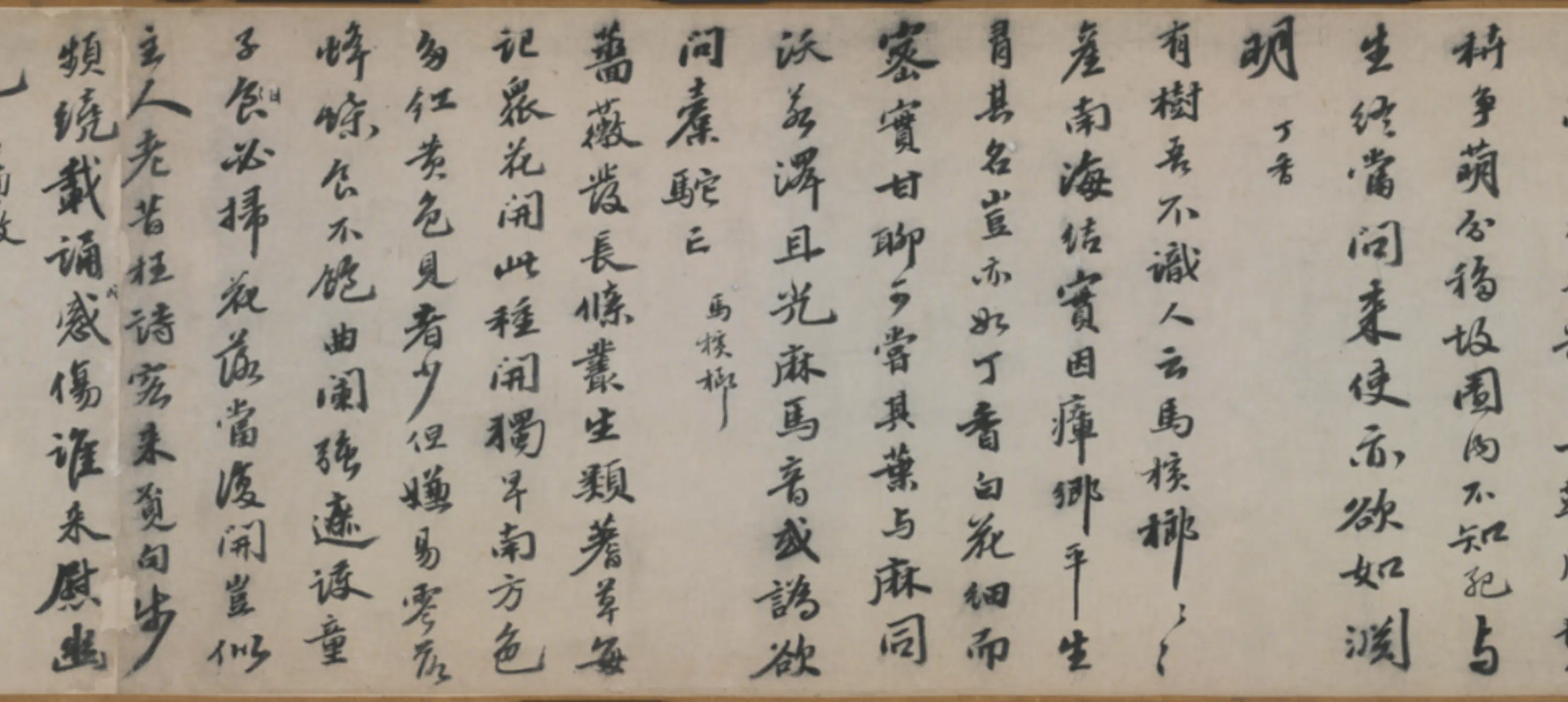 明朝【吴宽】《行书记园中草木二十首卷》 第5张