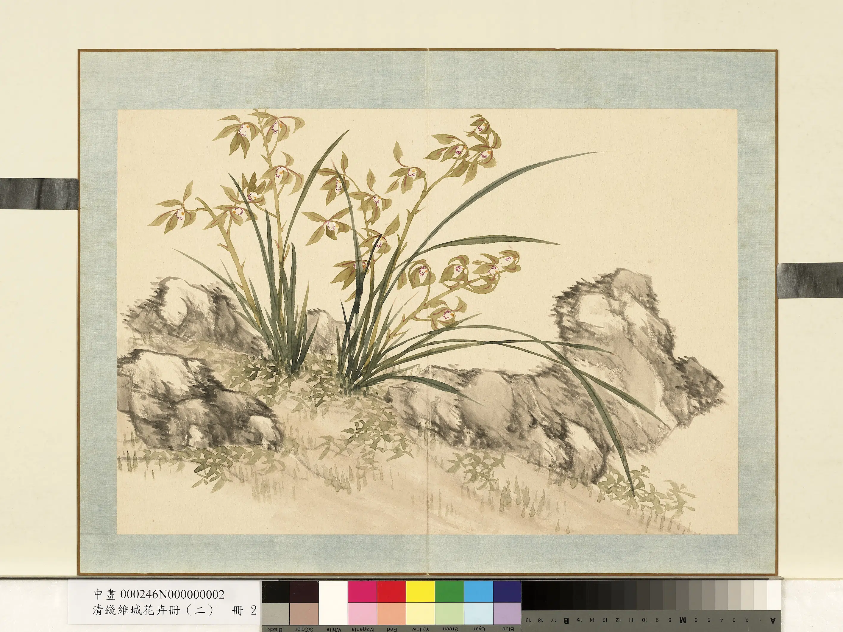 清代【钱维城】《花卉册（二）册-画兰之二》