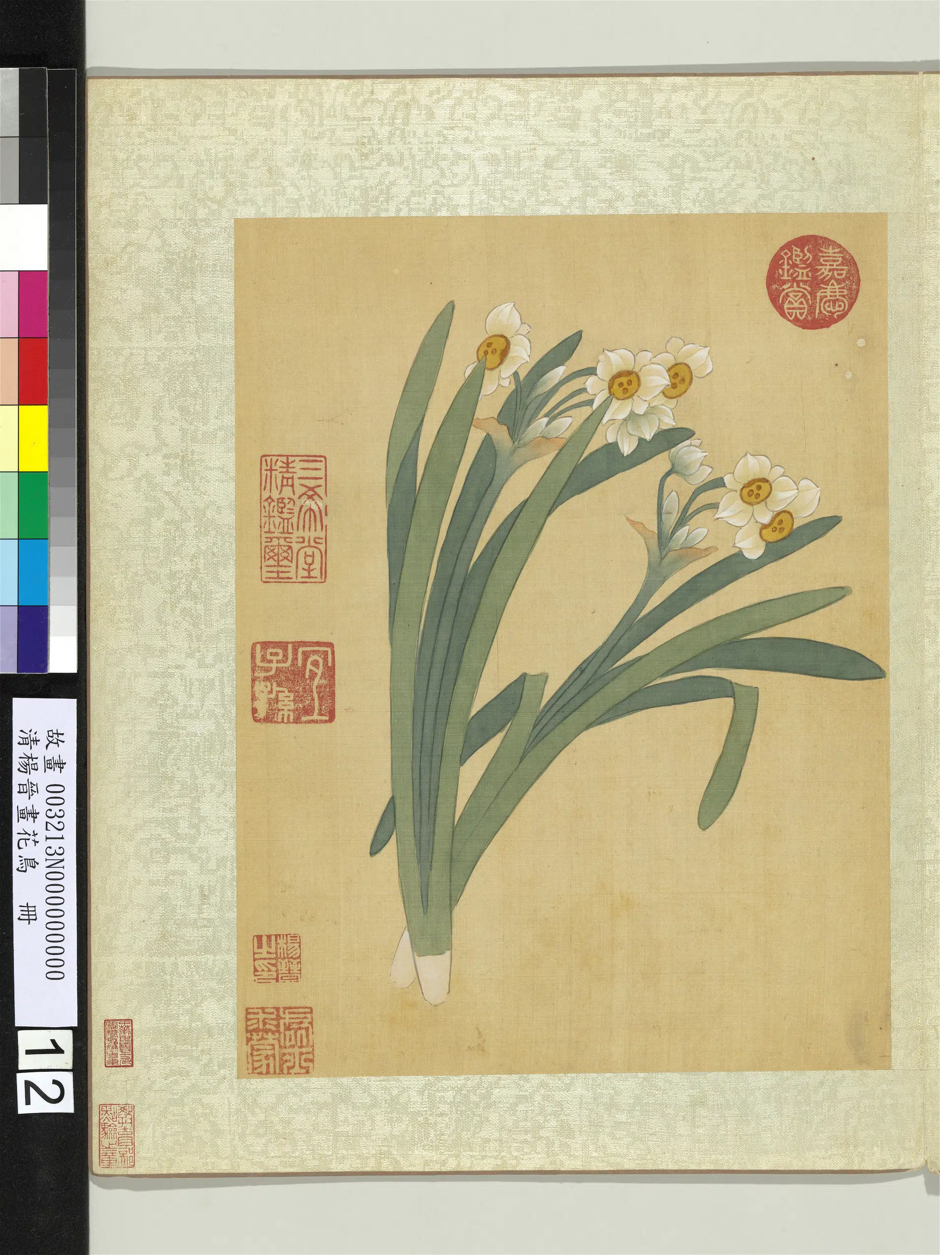 清代【杨晋】《画花鸟册-水仙花》