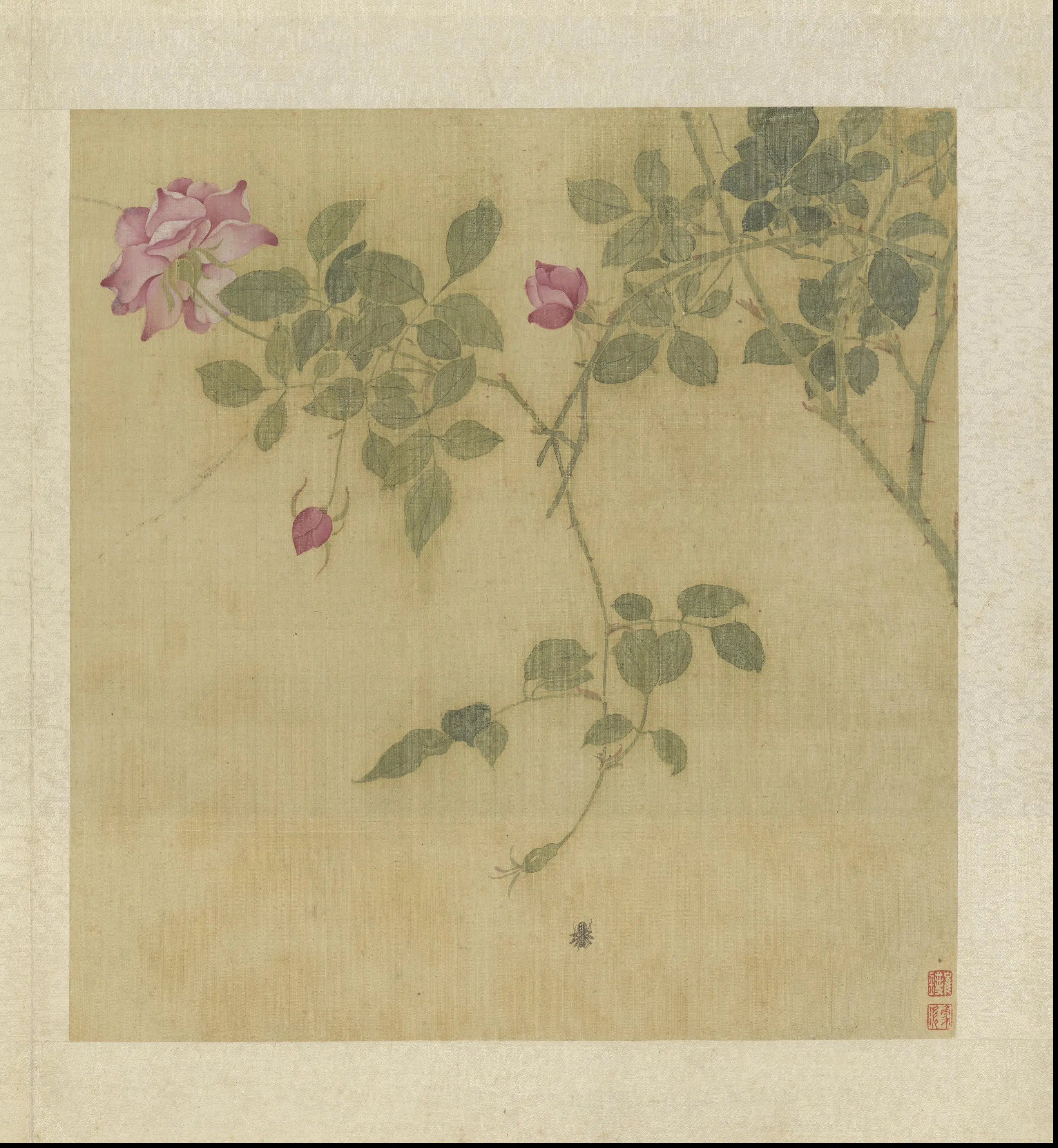 清代【崔鏏】《花卉草虫图册》 第11张