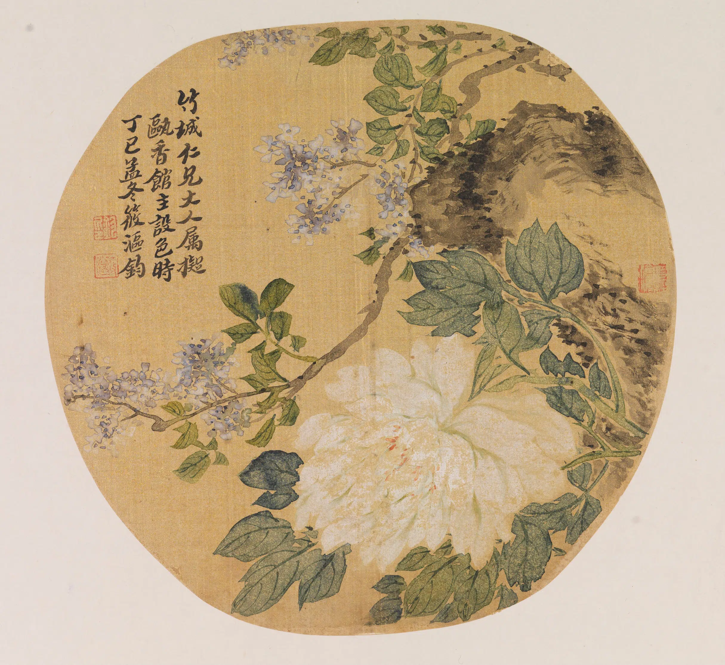 清代【朱钧】《仿恽寿平白牡丹图》
