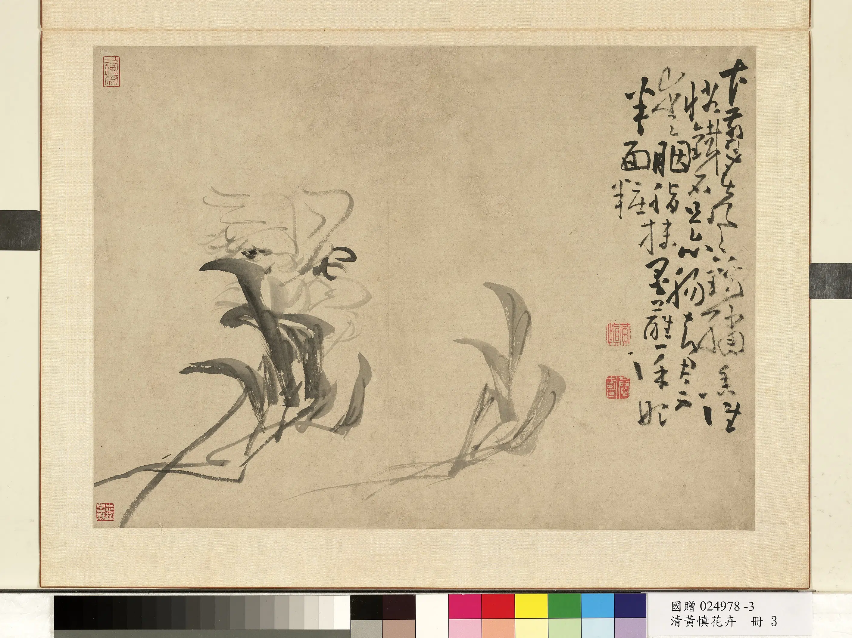 清代【黄慎】《花卉册-芍药》
