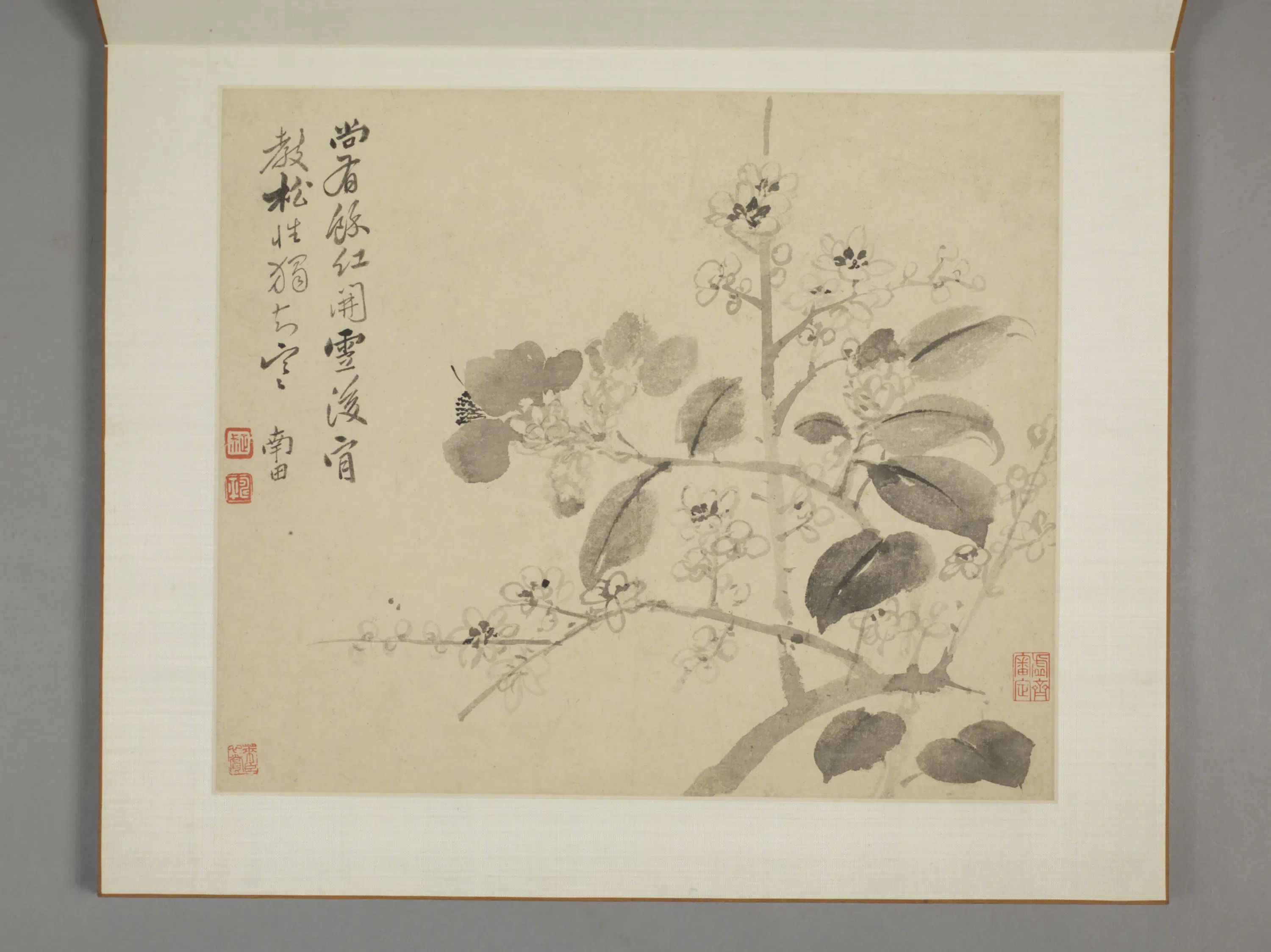 清代【恽寿平】《山水花卉册（8开）》 第5张