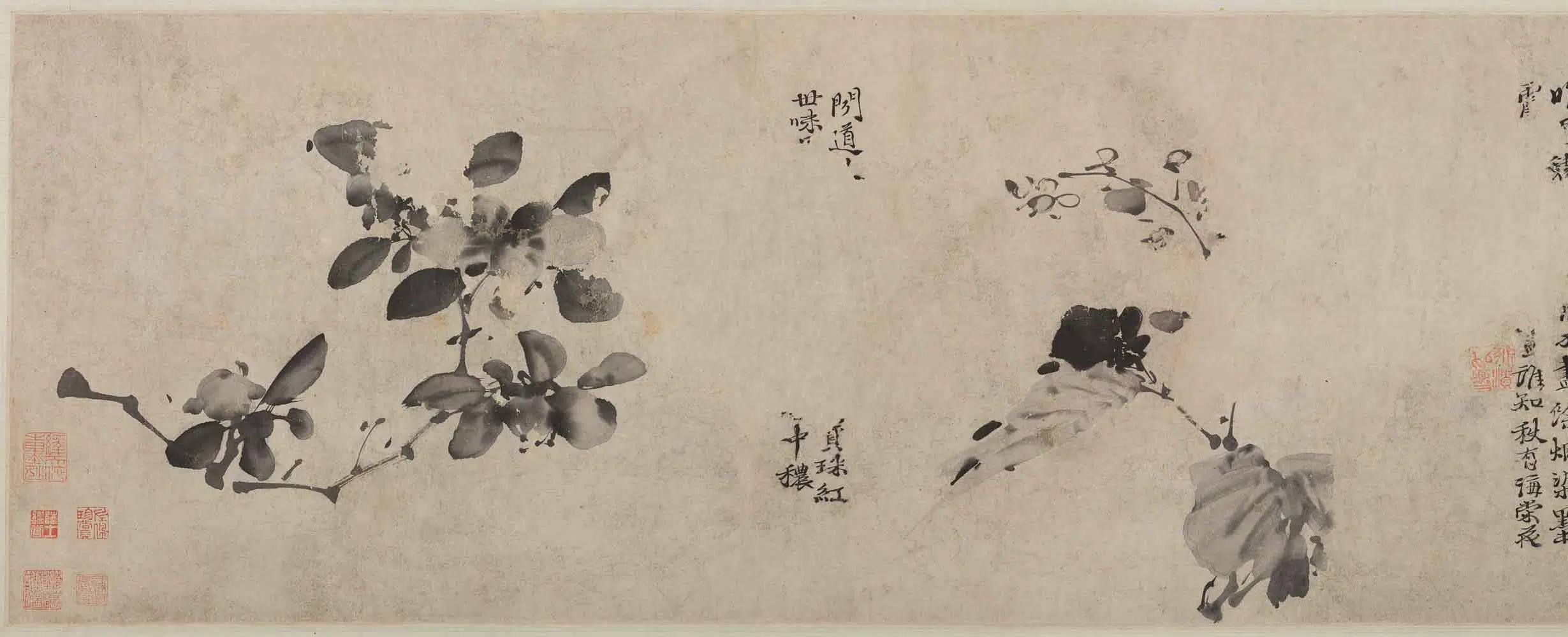 明朝【徐渭】《杂花图卷》