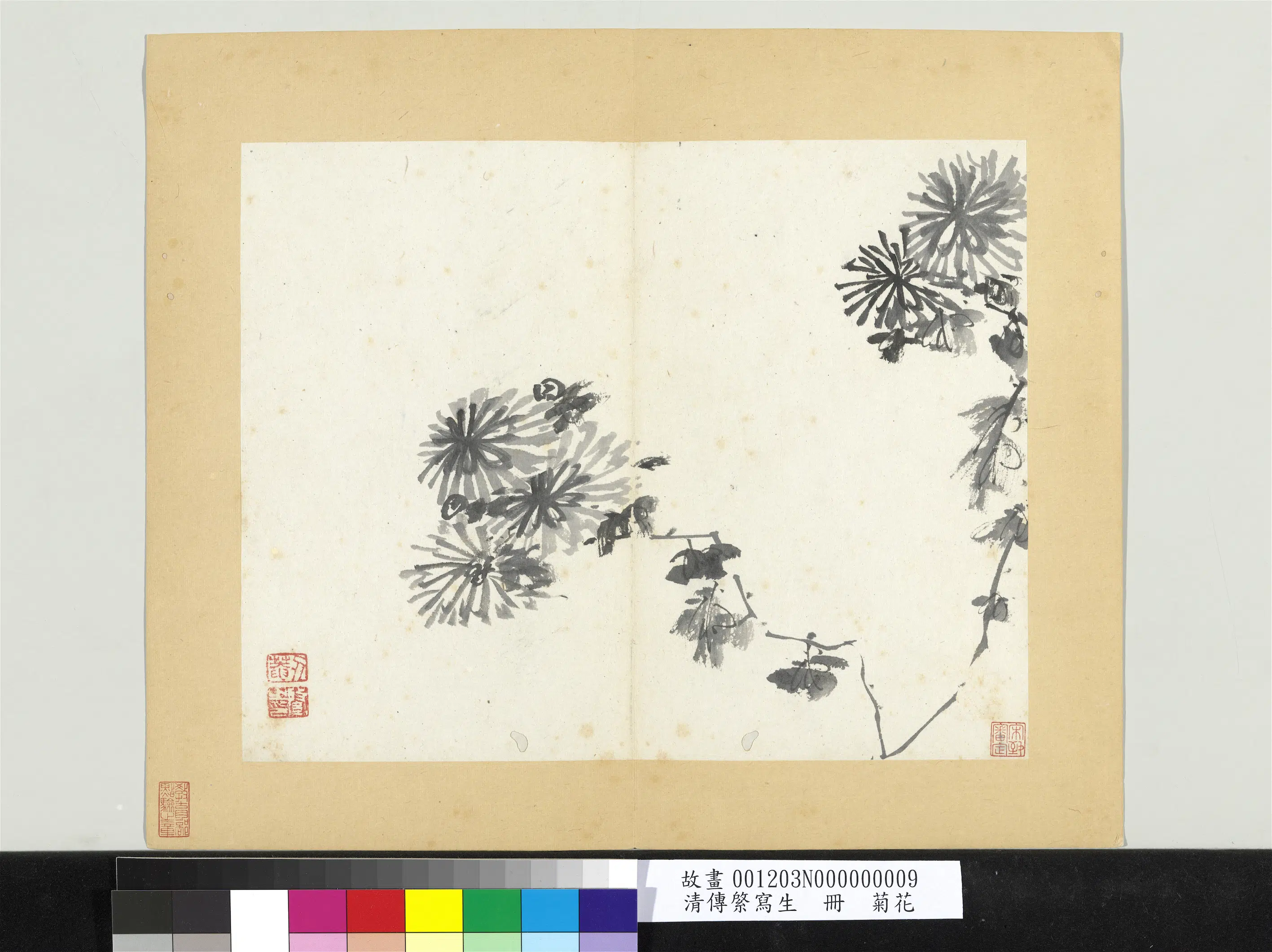 清代【朱耷】《传綮写生册-菊花》