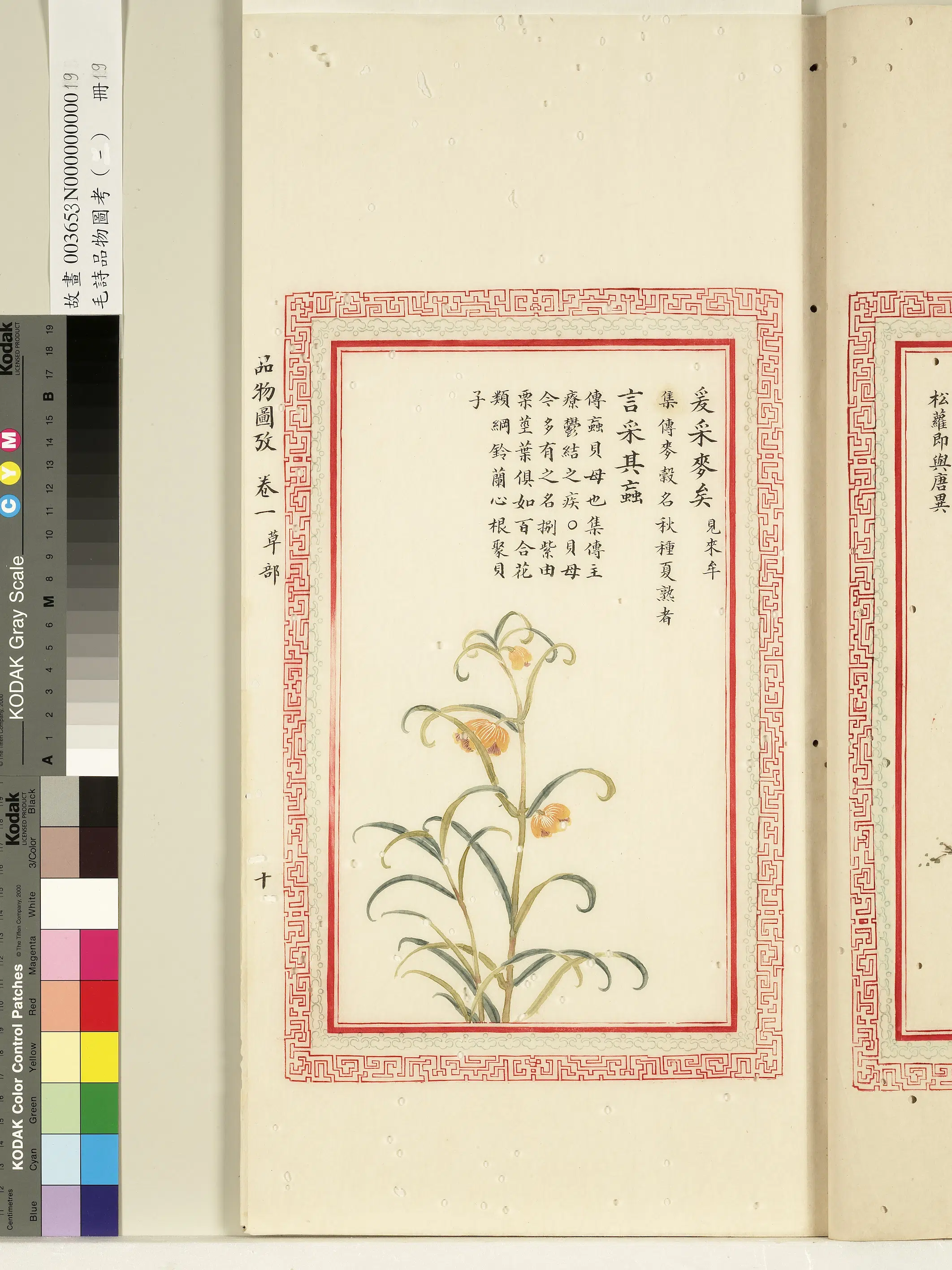 清代《毛诗品物图考(一)册-1》 第34张 清代《毛诗品物图考(一)册-1》 第34张