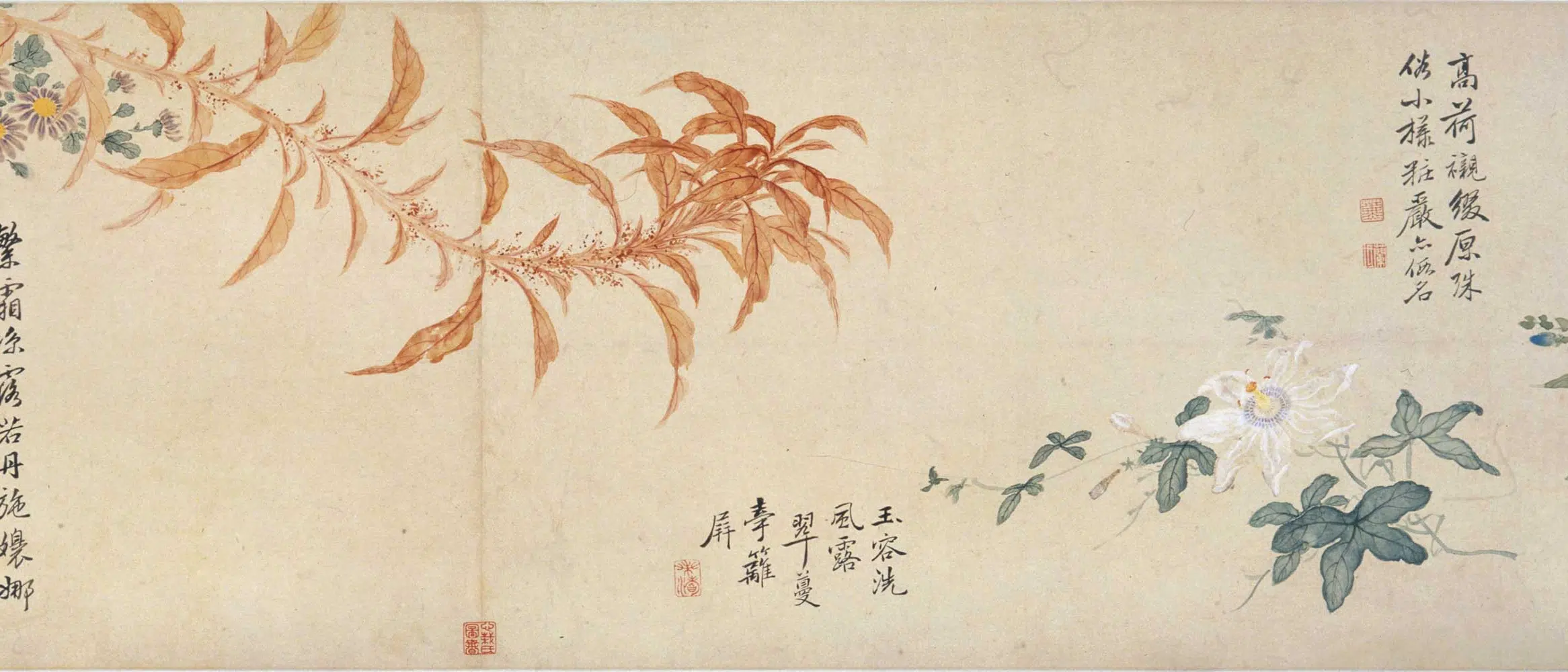清代【方薰】《摹宋人设色花卉卷》 第8张