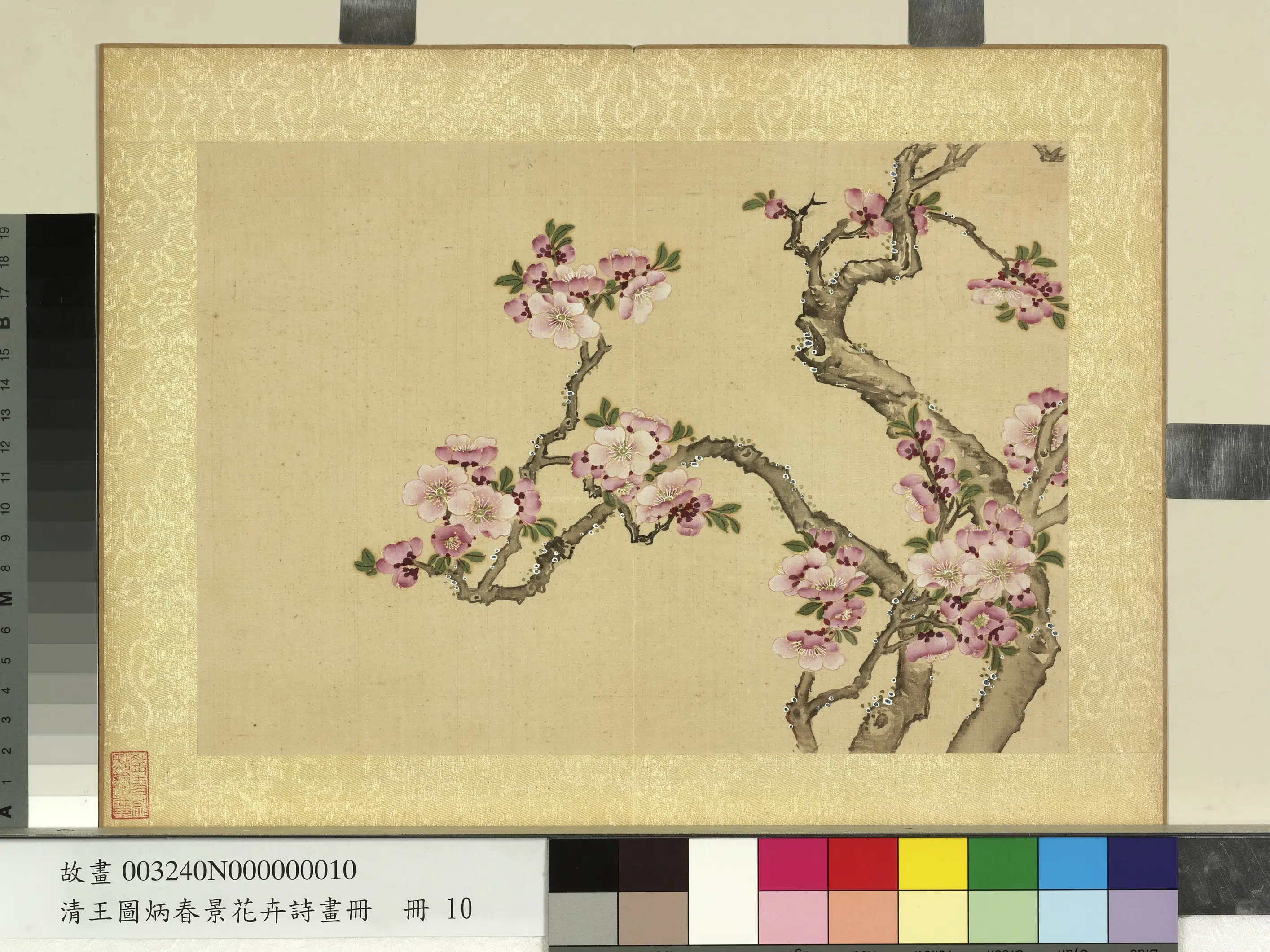 清代【王图炳】《春景花卉诗画册》 第12张