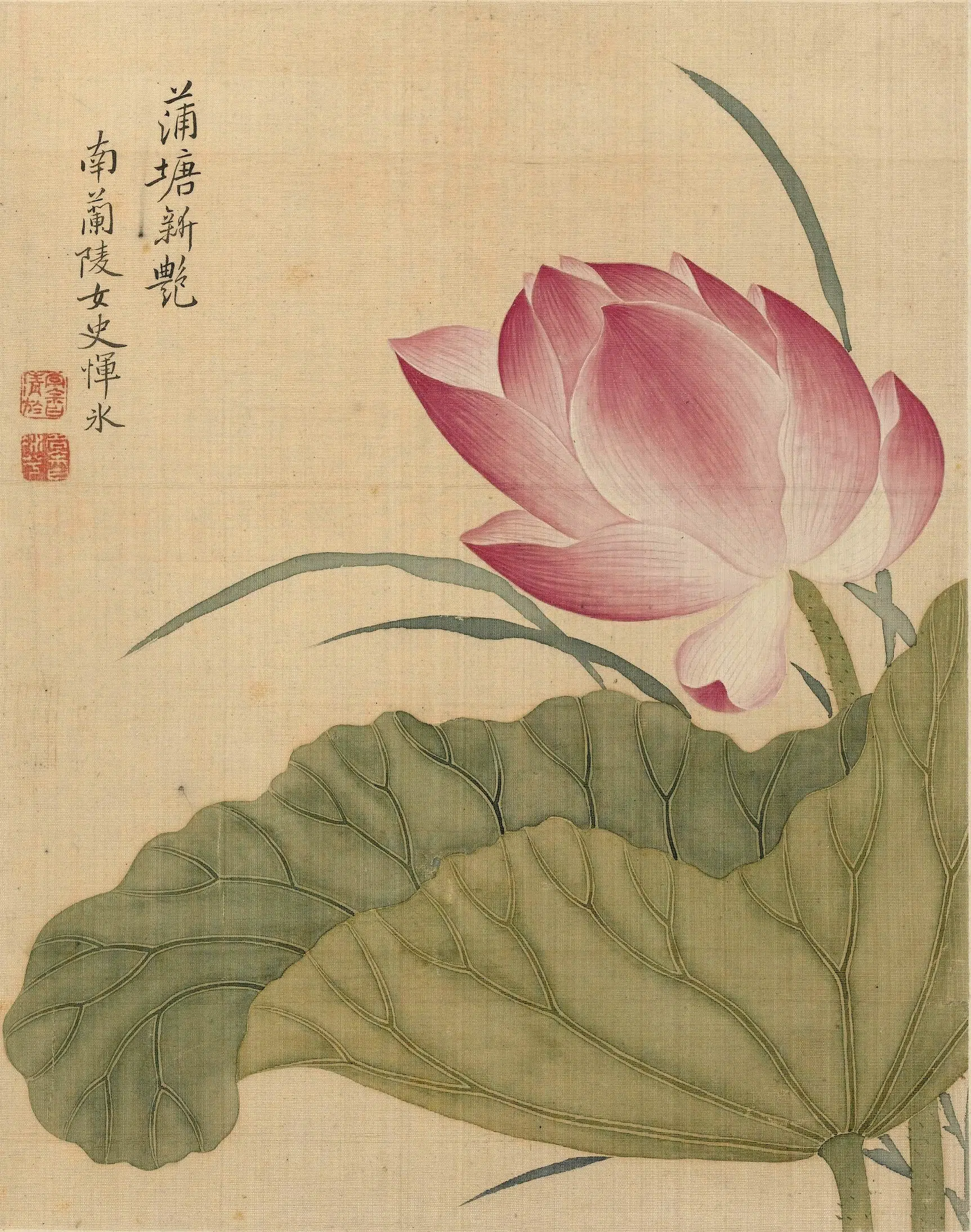 清代【恽冰】《花卉册（十开）》 第6张