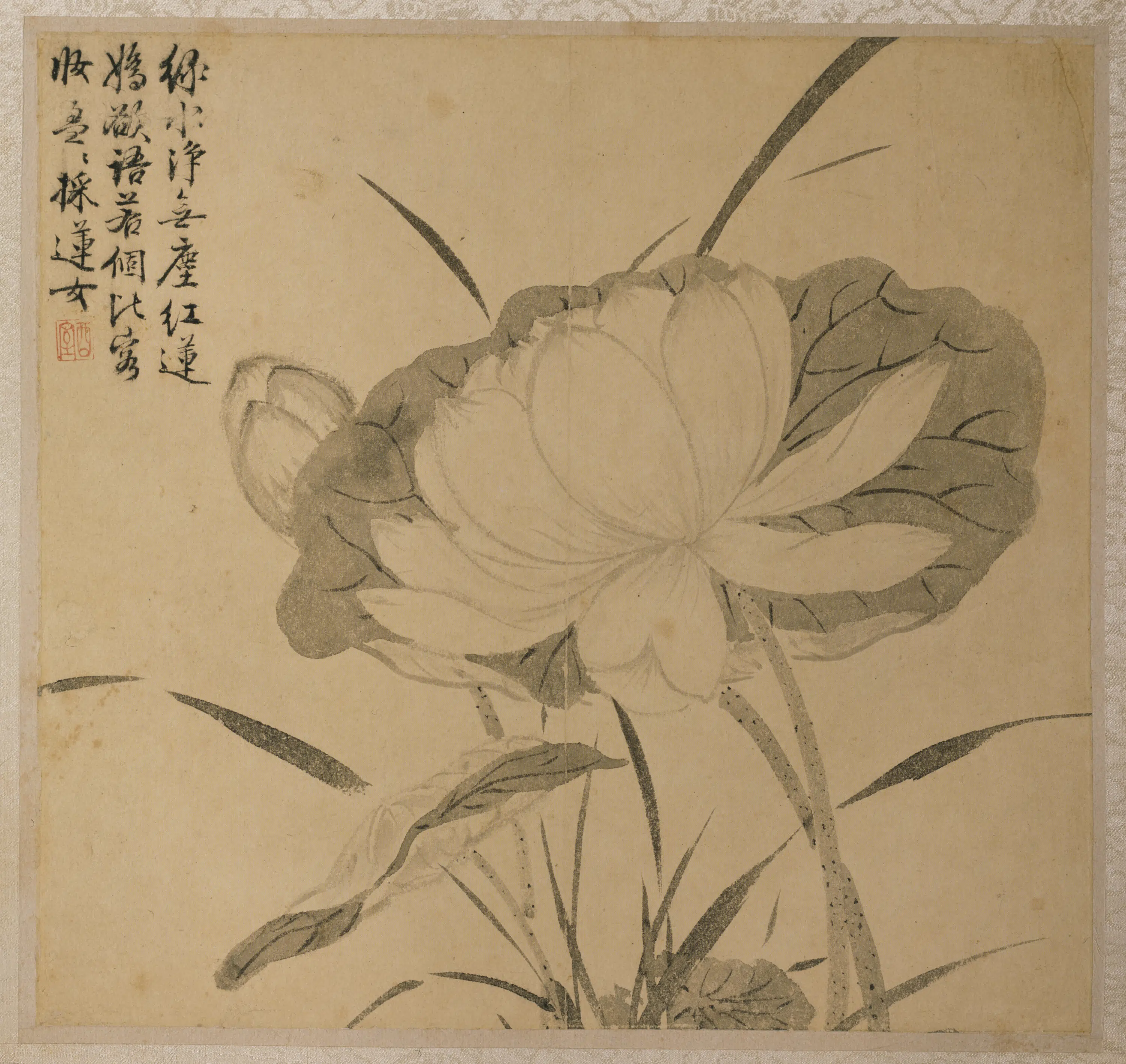 明朝【王榖祥】《王穀祥花卉图册》 第4张
