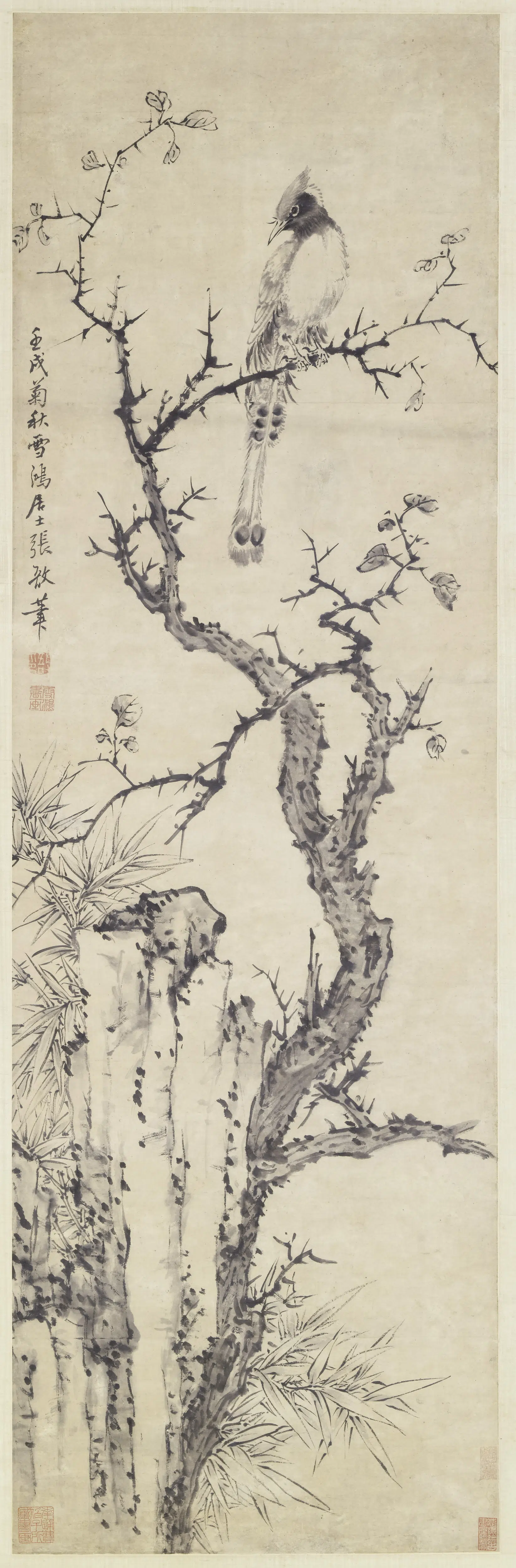 清代【张敔】《竹石绶带图轴》