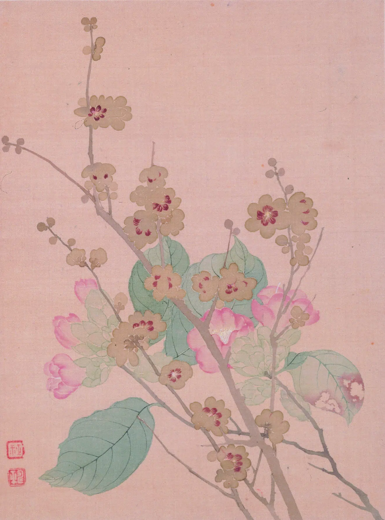 清代【恽寿平】《花卉图册》 第2张 清代【恽寿平】《花卉图册》 第2张