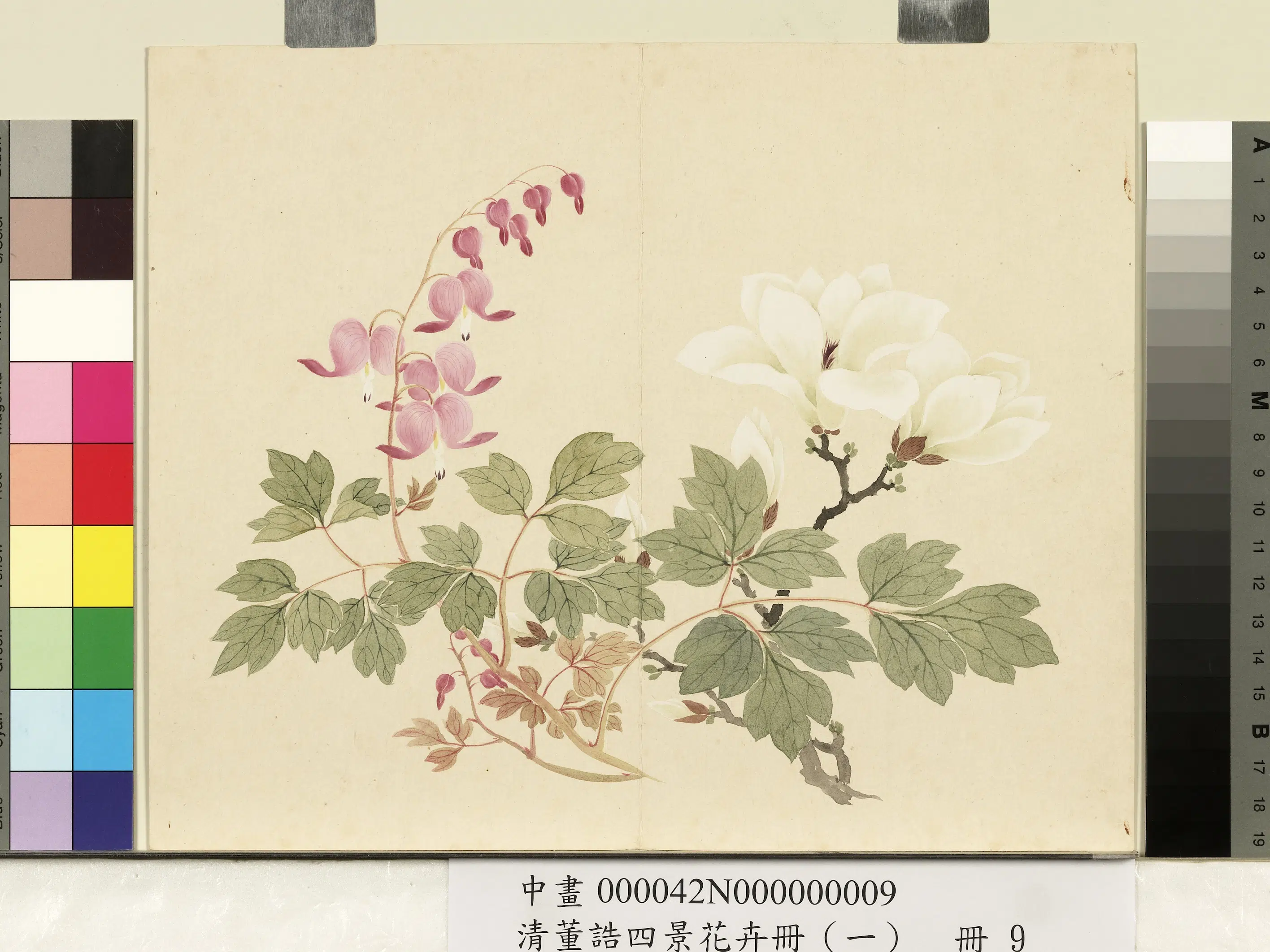 清代【董诰】《四景花卉(一)册-春景花卉之九》 第1张 清代【董诰】《四景花卉(一)册-春景花卉之九》 第1张