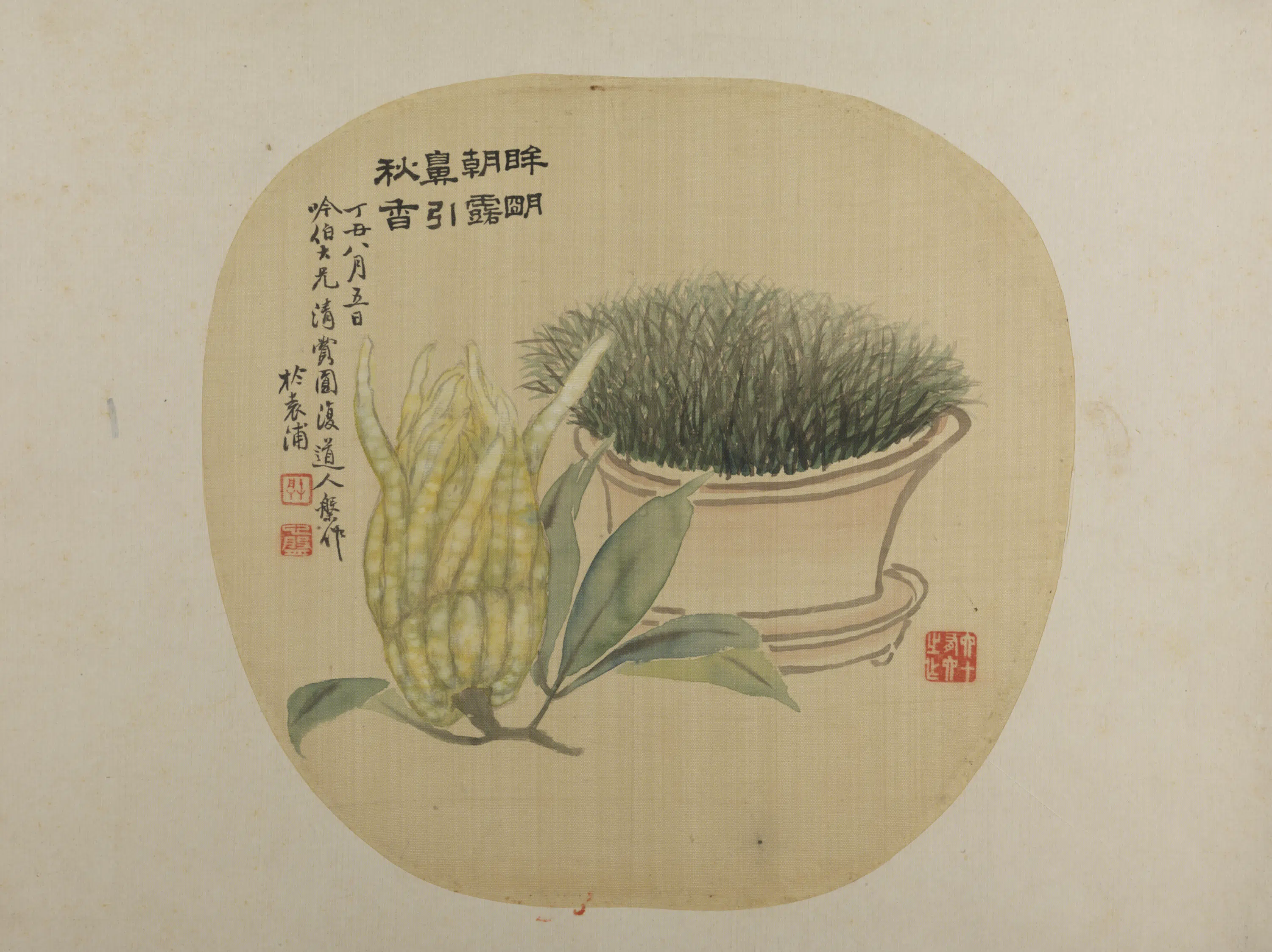 清代【张槃】《佛手盆花纨扇页》 第1张