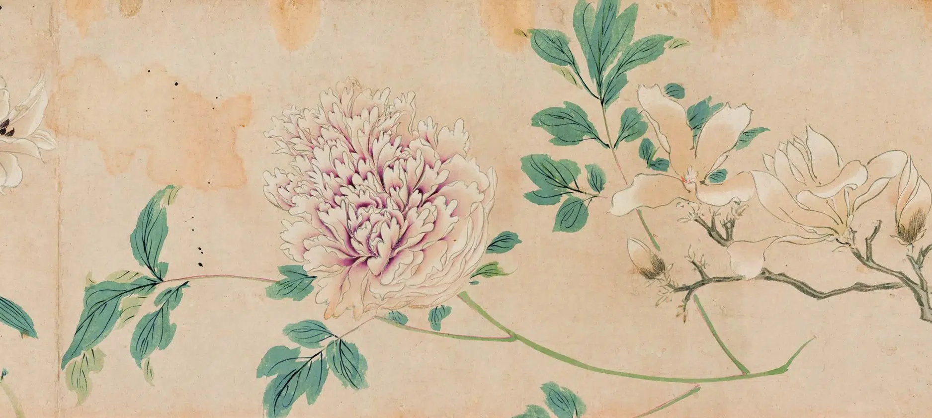 明朝【马守真】《花卉卷》 第7张