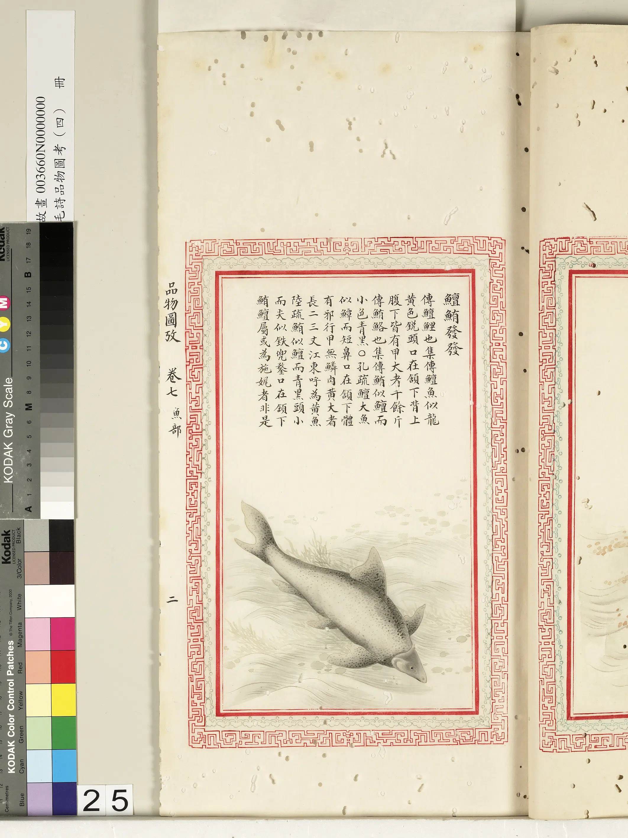 清代《毛诗品物图考(四)册-2》 第34张 清代《毛诗品物图考(四)册-2》 第34张