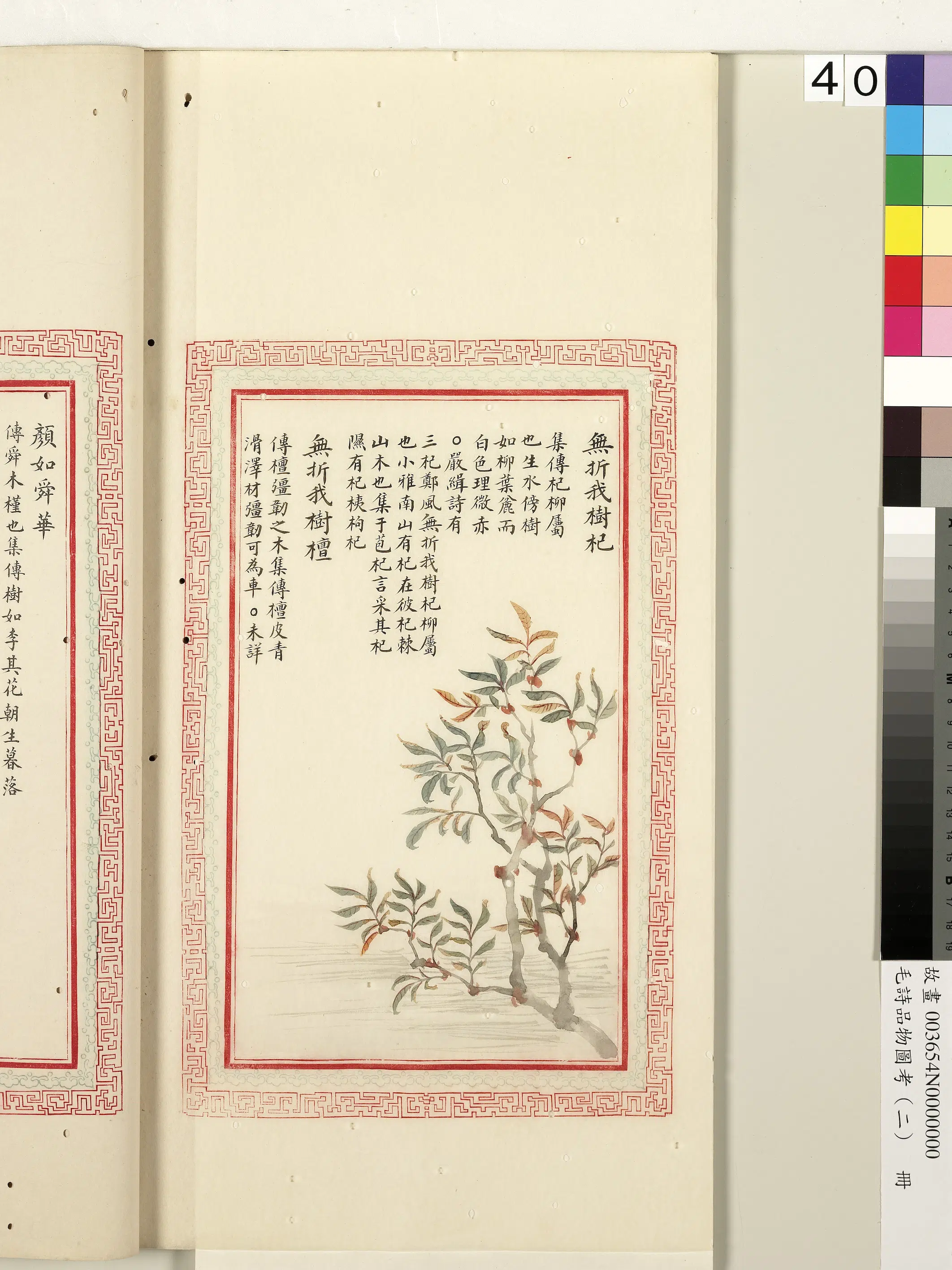 清代《毛诗品物图考(二)册-1》 第24张 清代《毛诗品物图考(二)册-1》 第24张